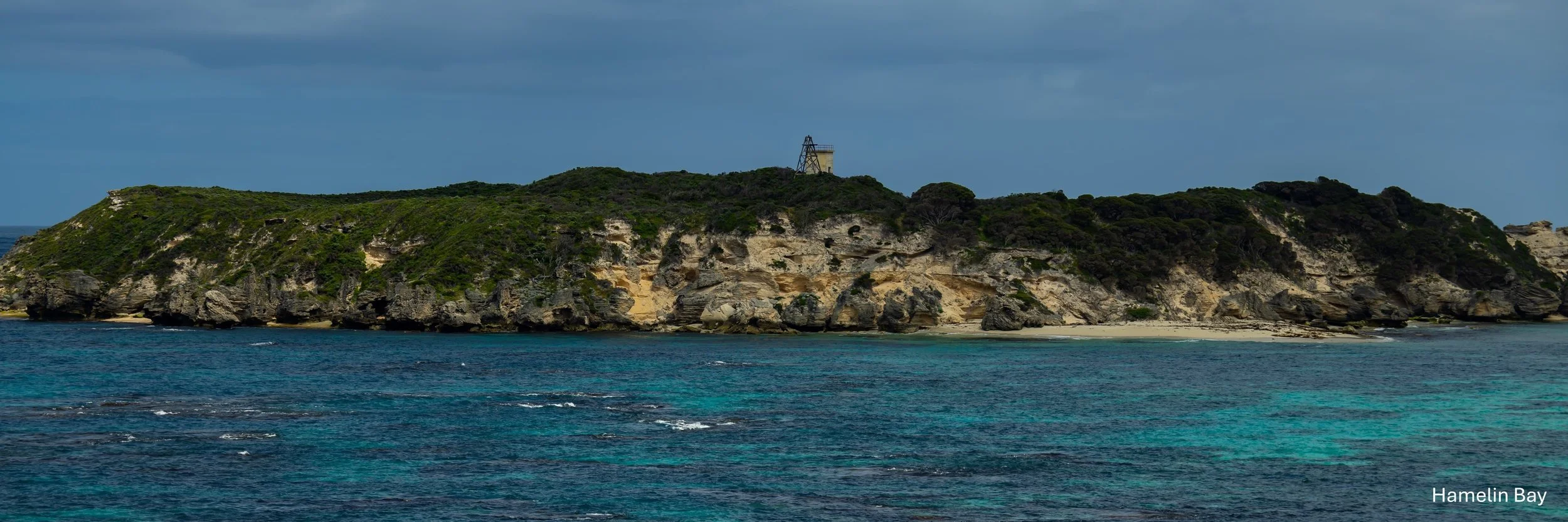 Hamelin Bay,-2288.jpg