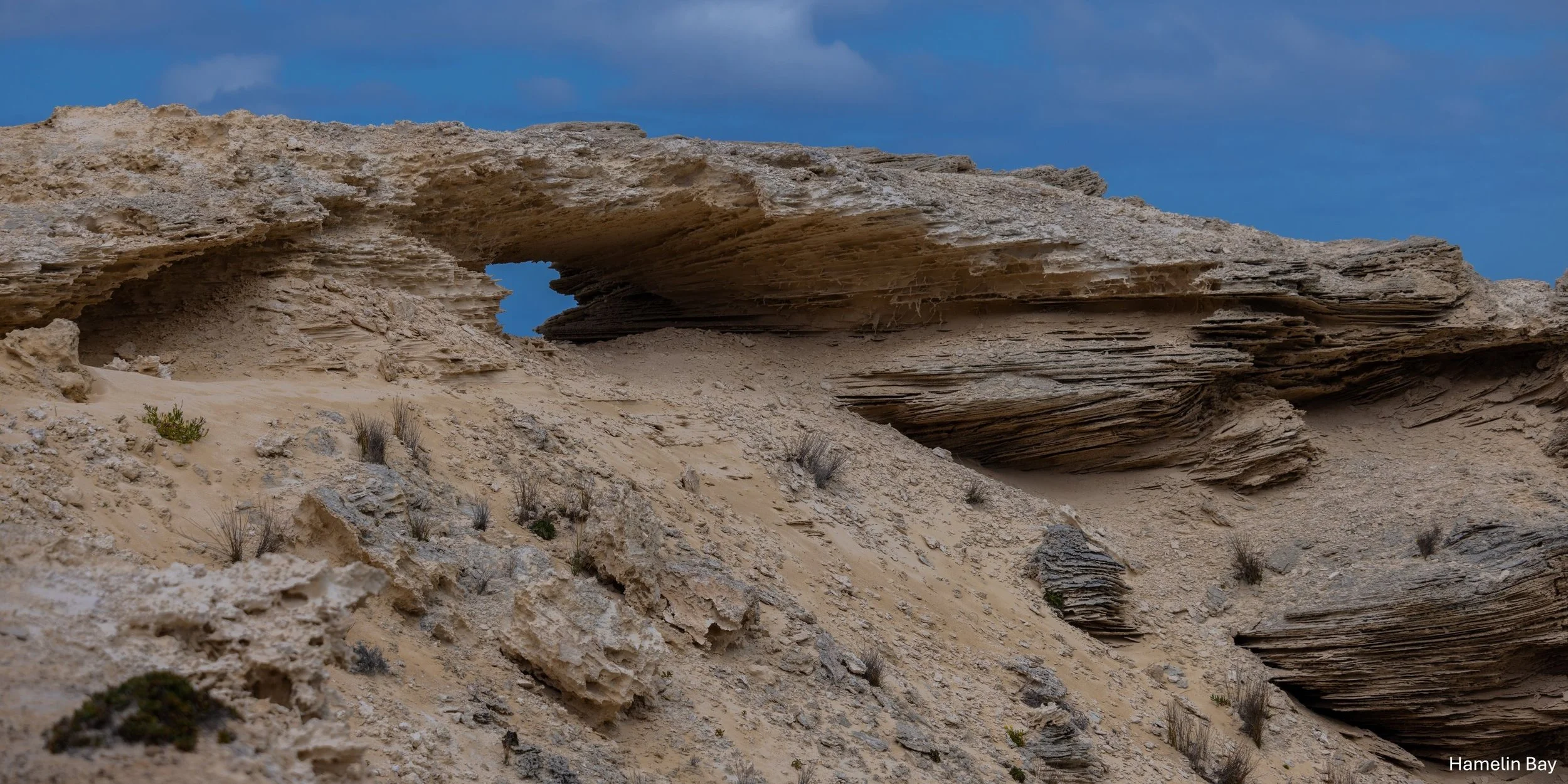 Hamelin Bay,-2291.jpg