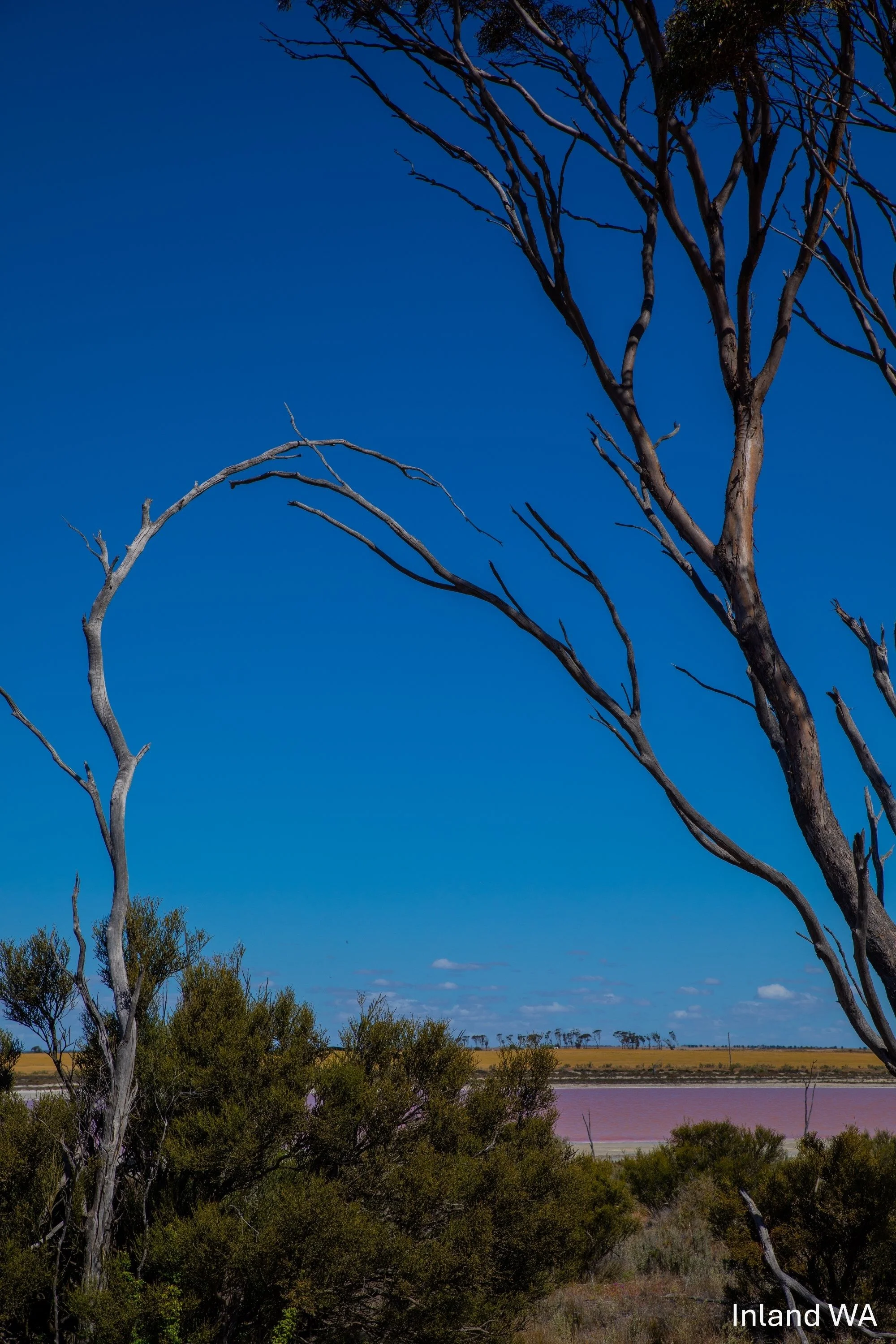 Inland WA,-0546.jpg