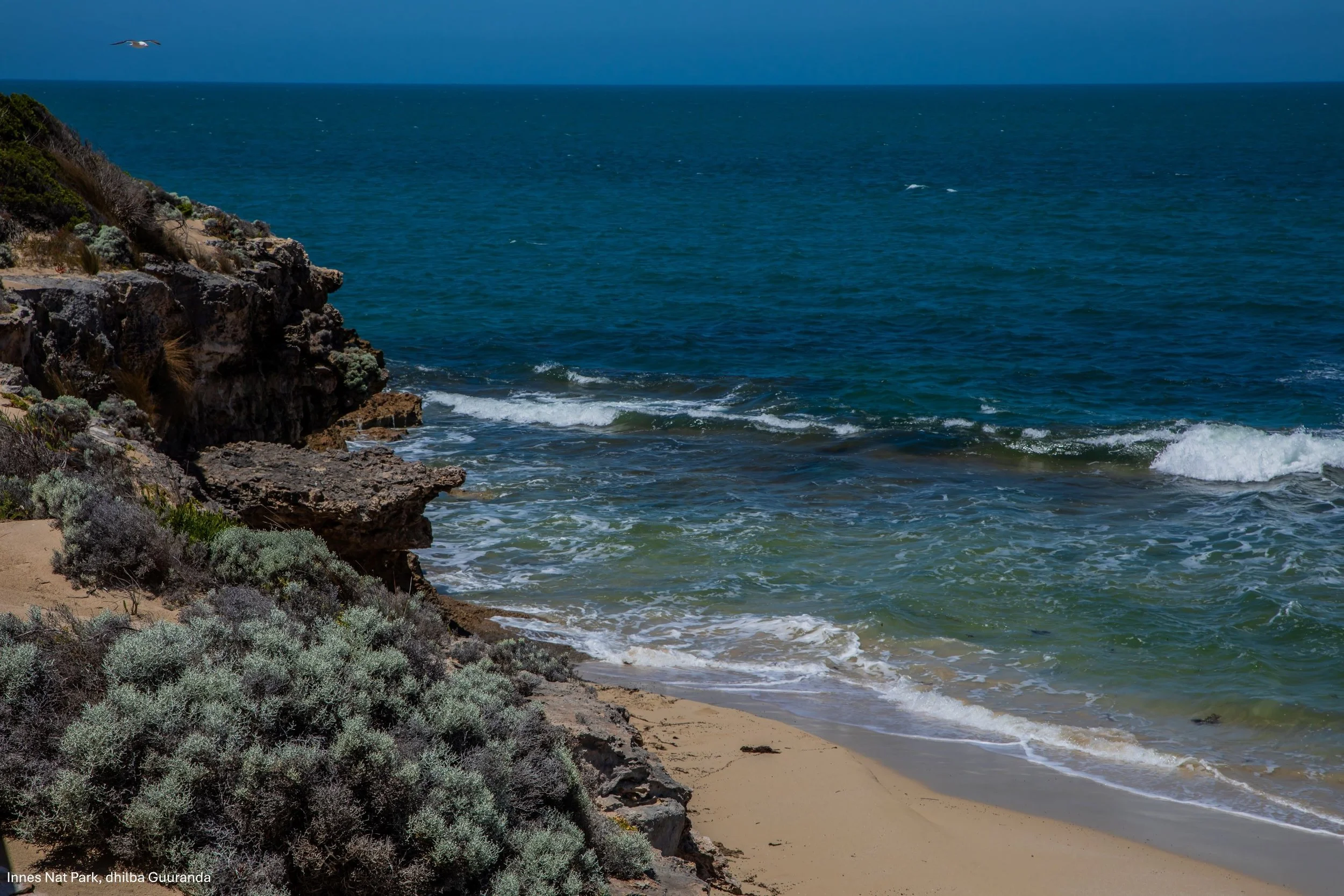 Innes Nat Park,dhilba Guuranda,-1115.jpg