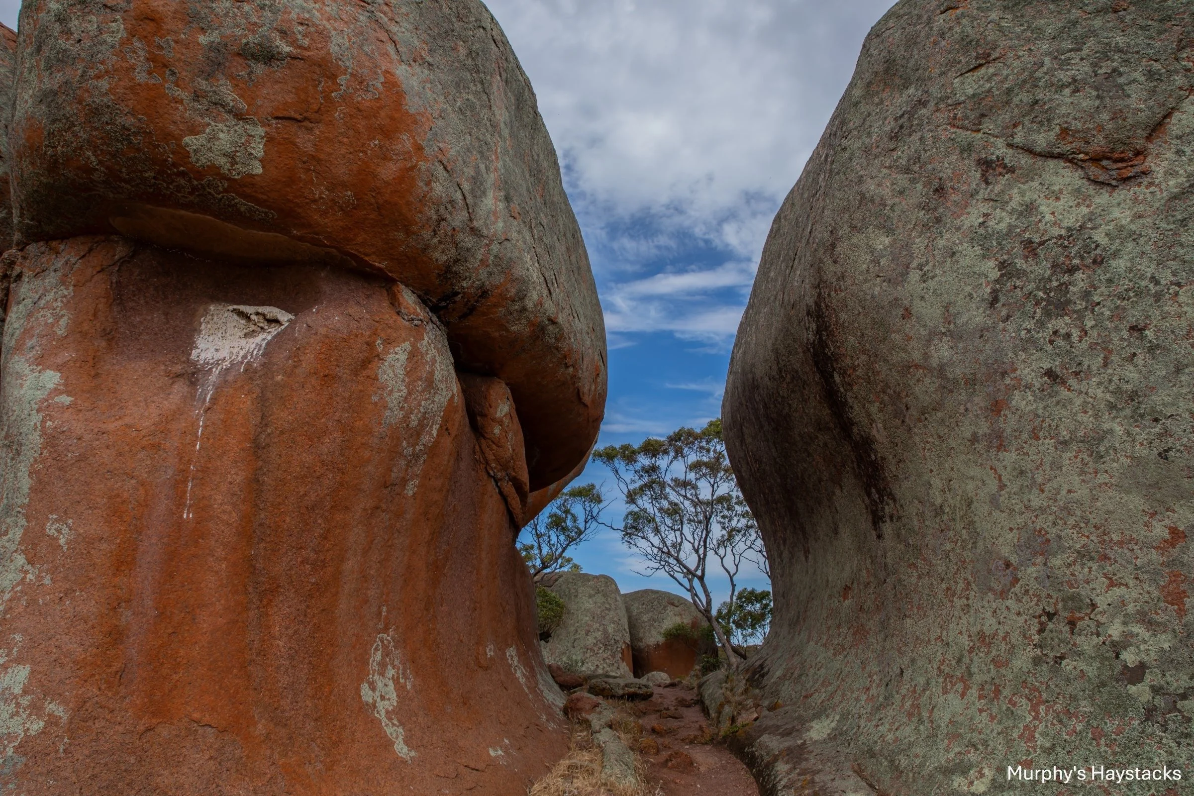Murphy's Haystacks,-0874.jpg