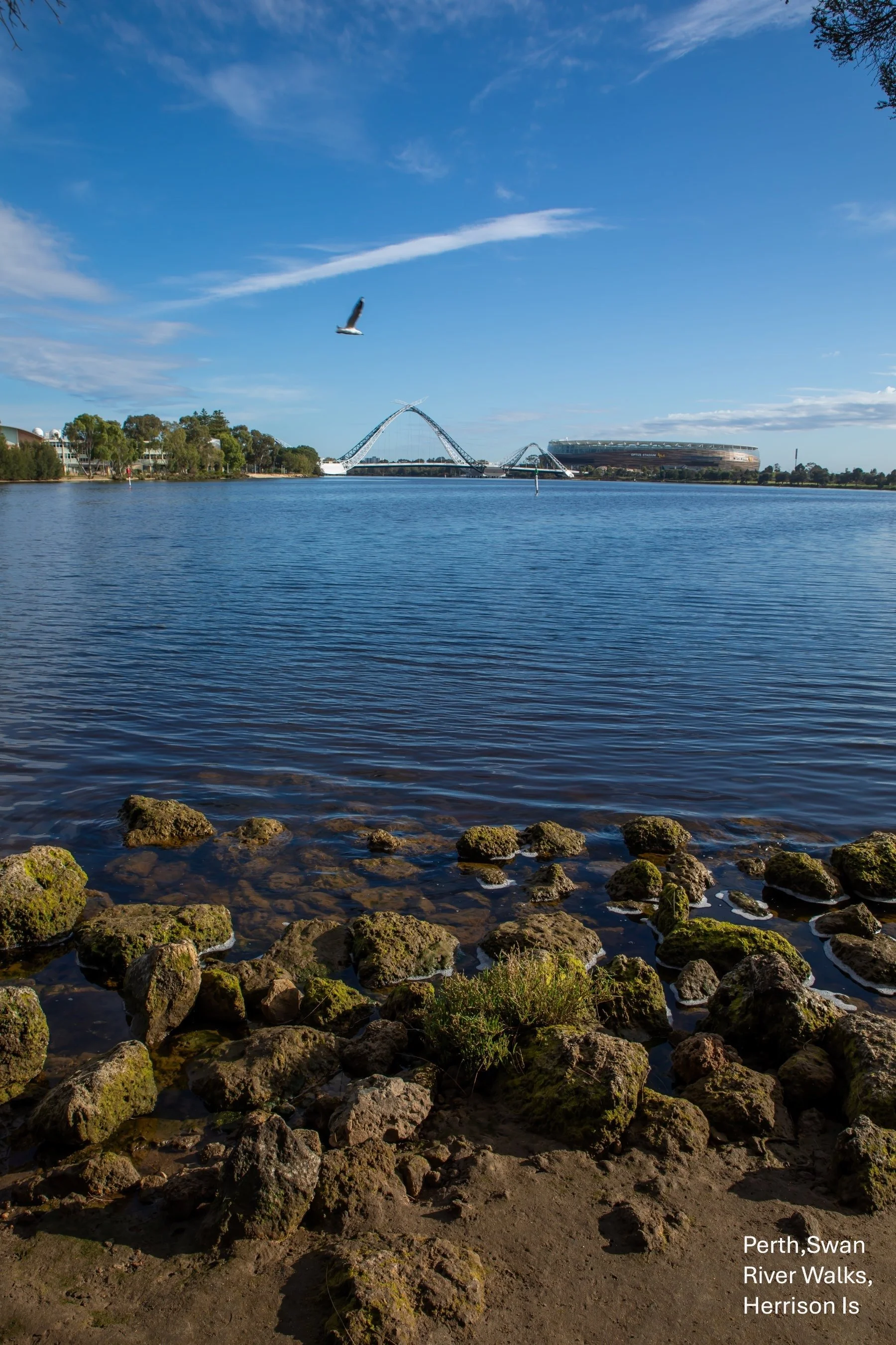 Perth,Swan River Walks,Herrison Island,-9972.jpg