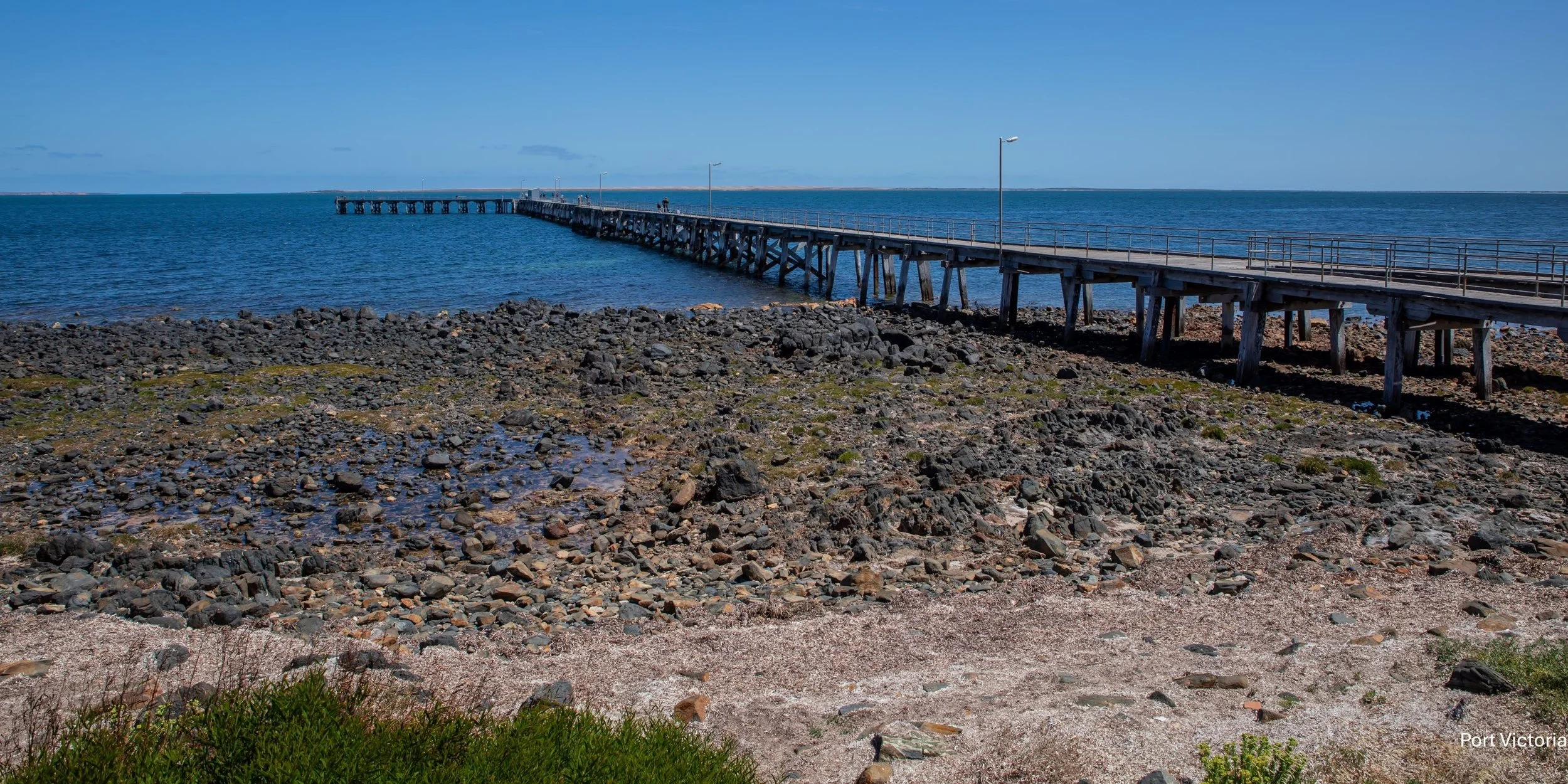 Port Victoria,-1164.jpg