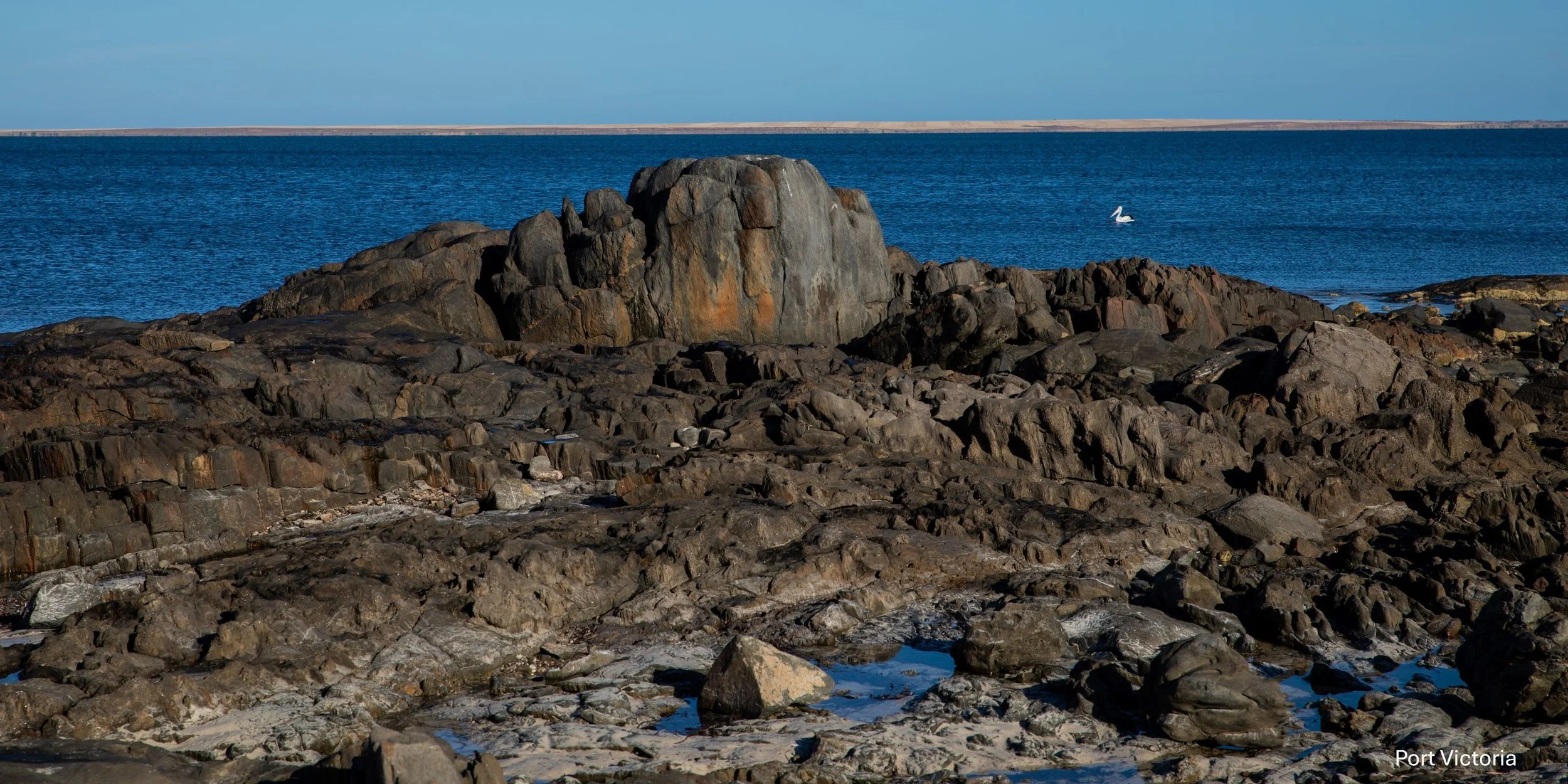 Port Victoria,-1216.jpg