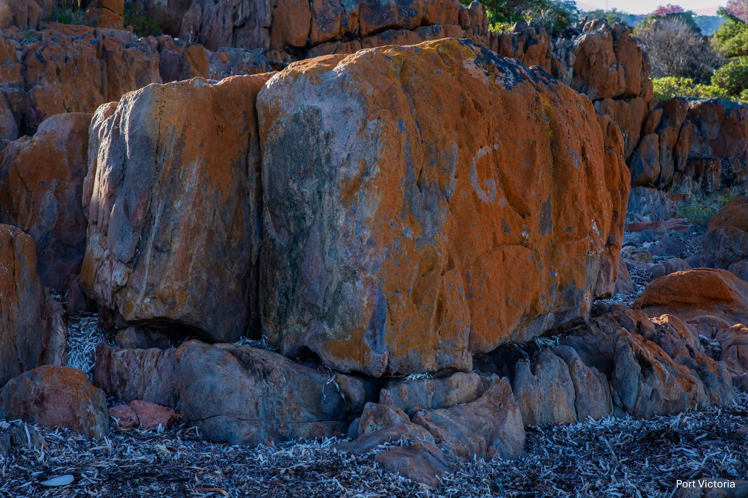 Port Victoria,-1221.jpg