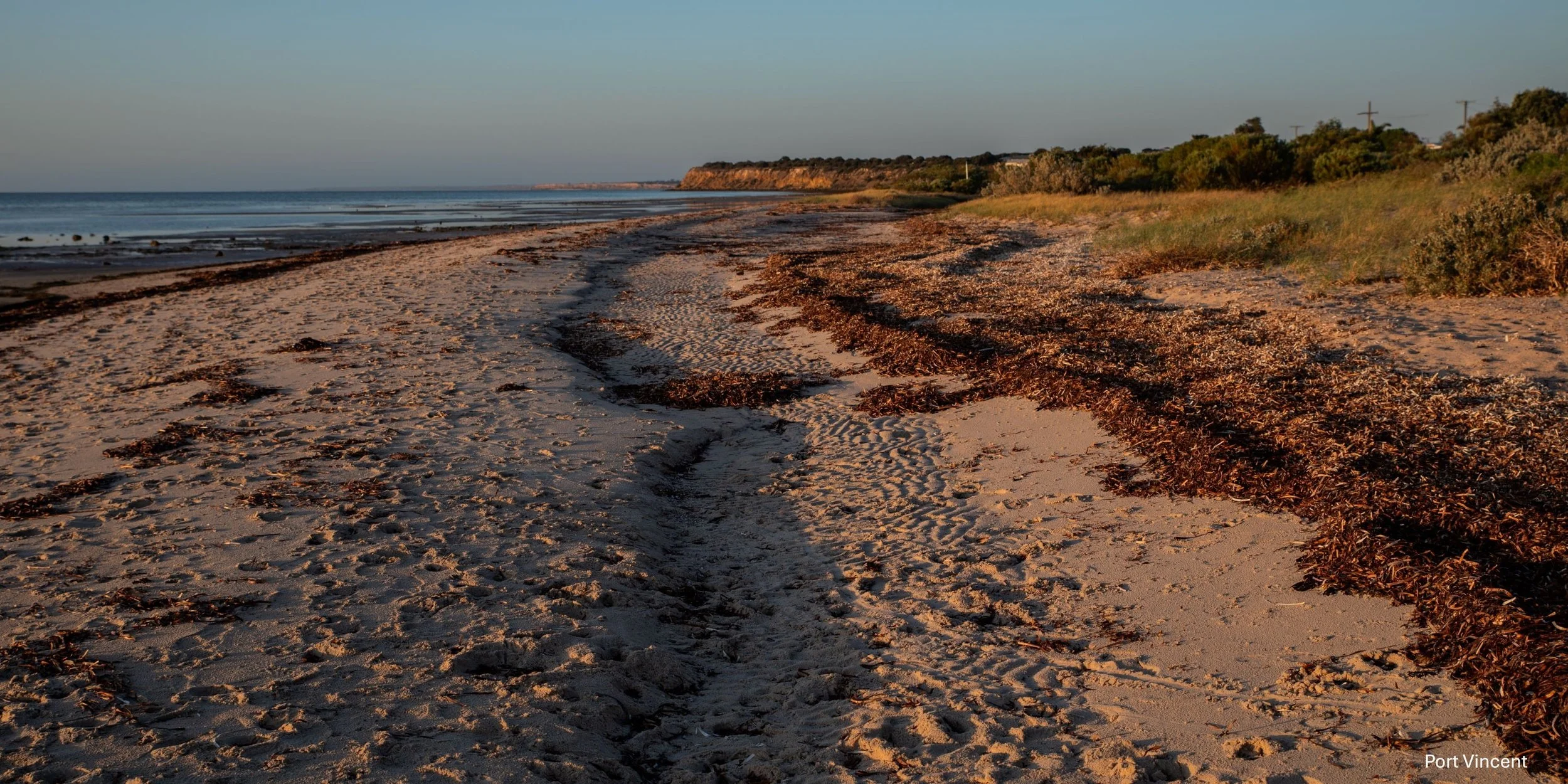 Port Vincent,-1069.jpg
