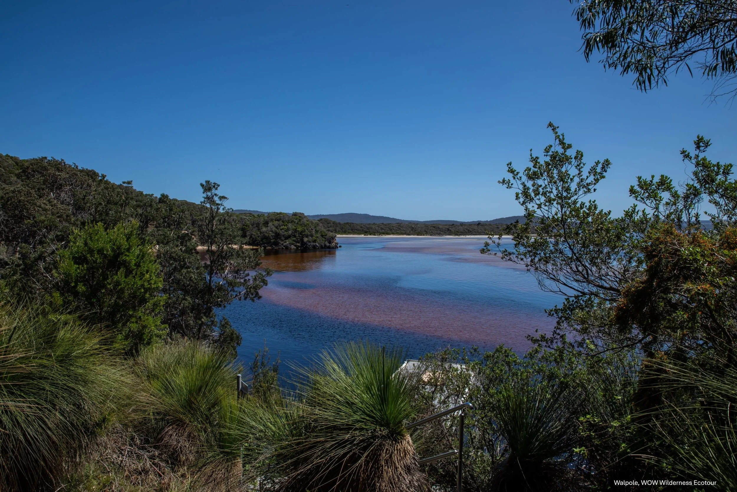 Walpole,WOW Wilderness Ecotour,-0363.jpg