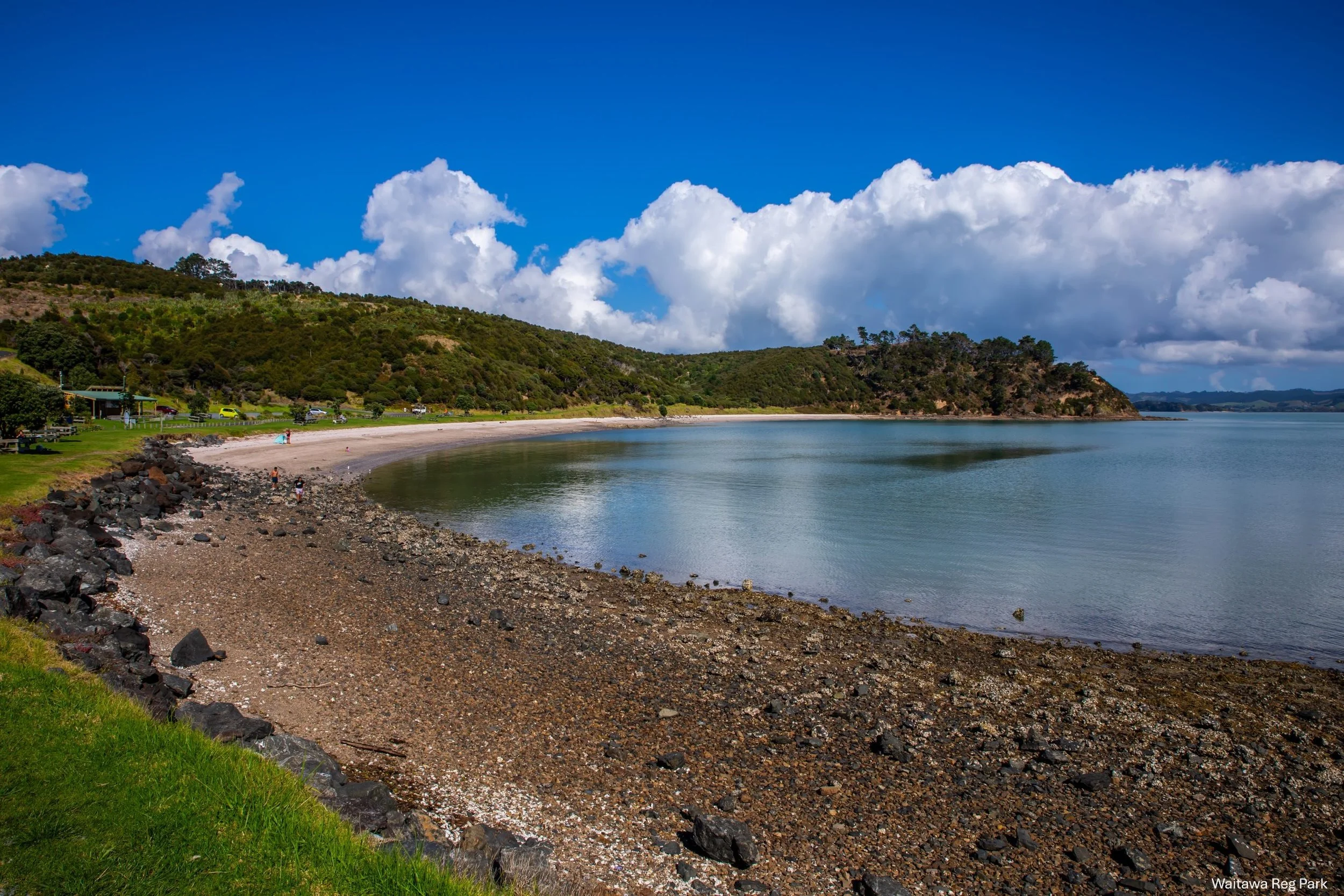 Waitawa Reg Park,-8180.jpg