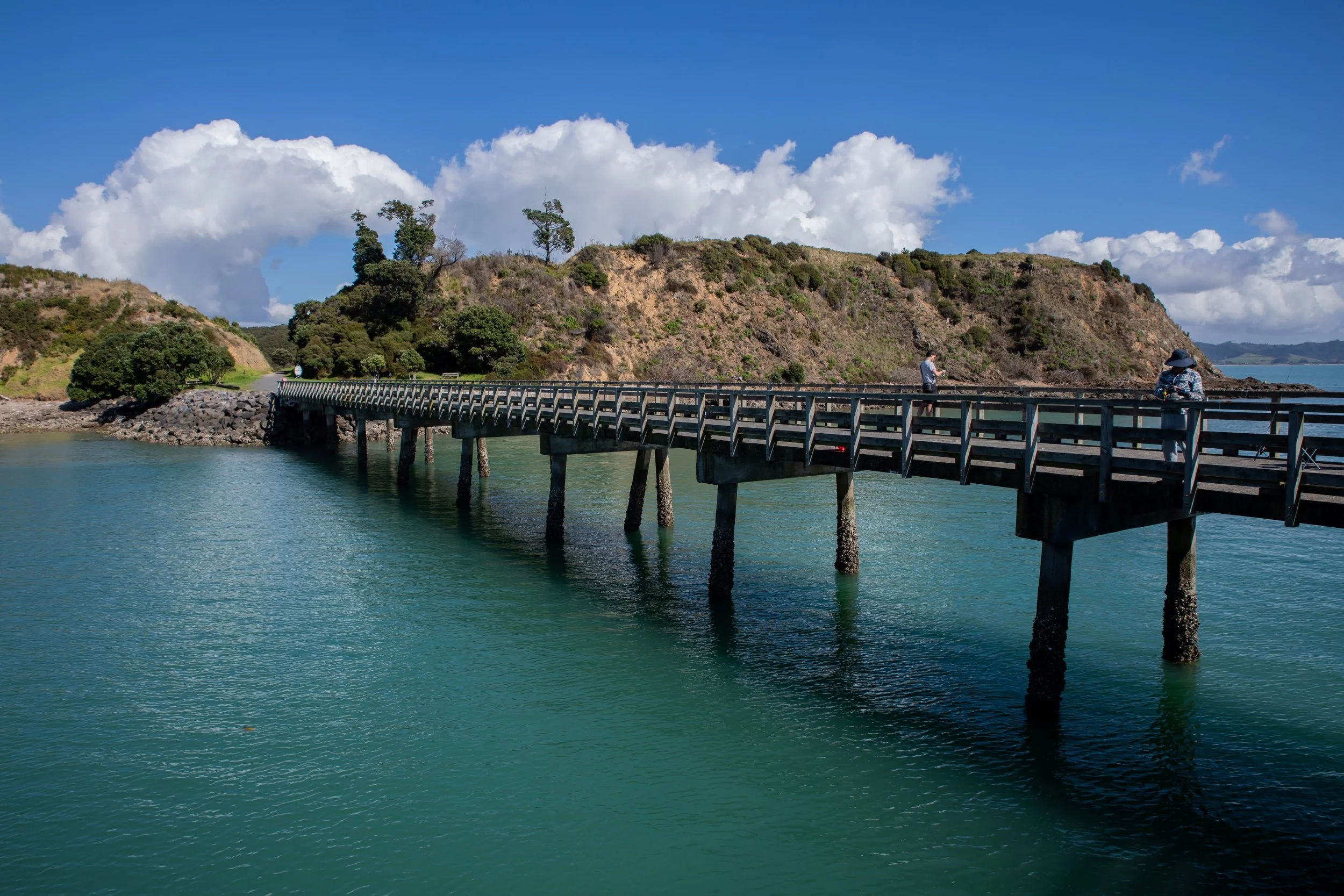 Waitawa Reg Park,-8185.jpg