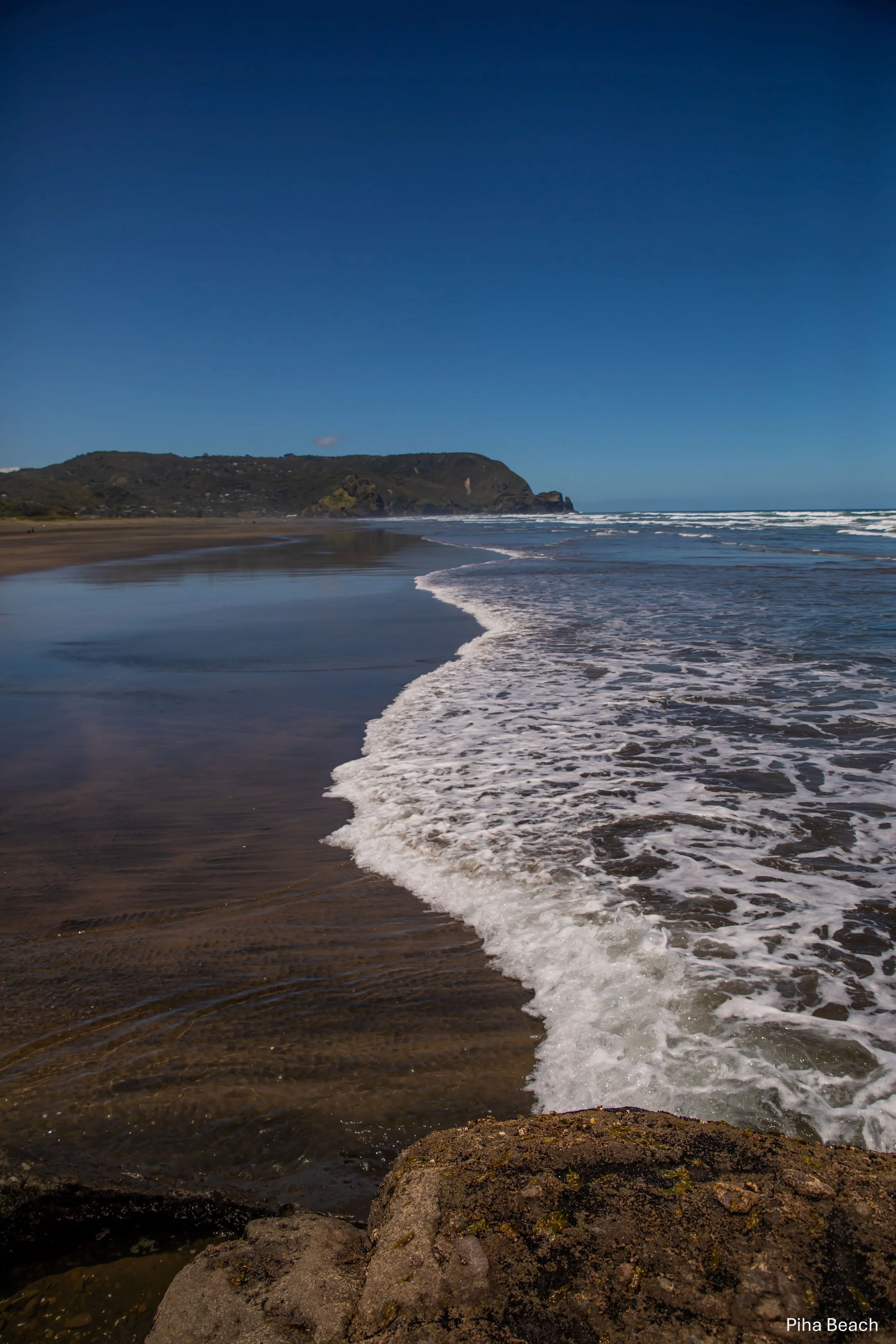 Piha,-5768.jpg