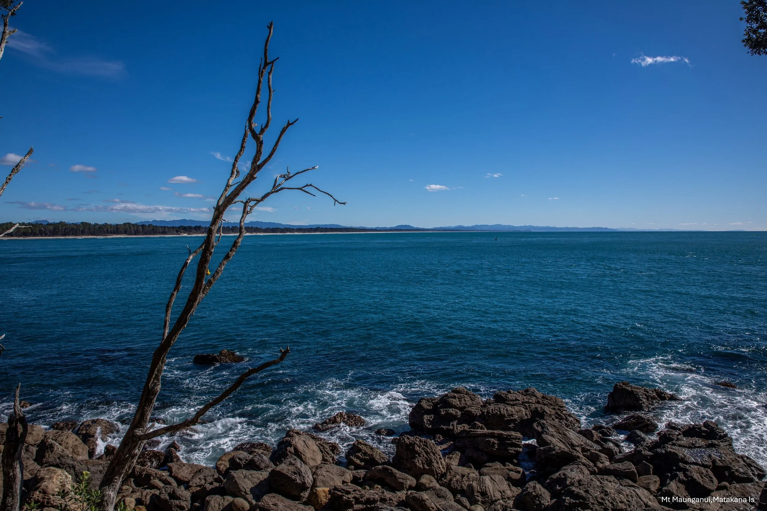 BOP, Mount Maunganui,-8441.jpg
