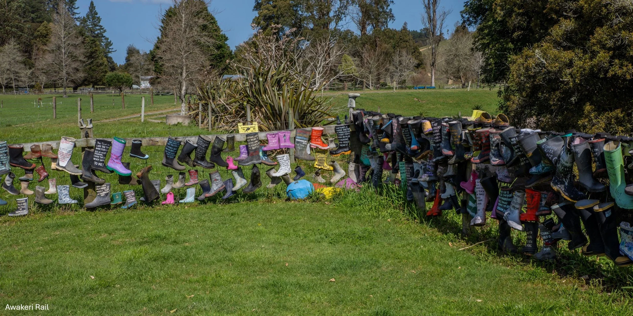 Awakeri Rail,-5334.jpg