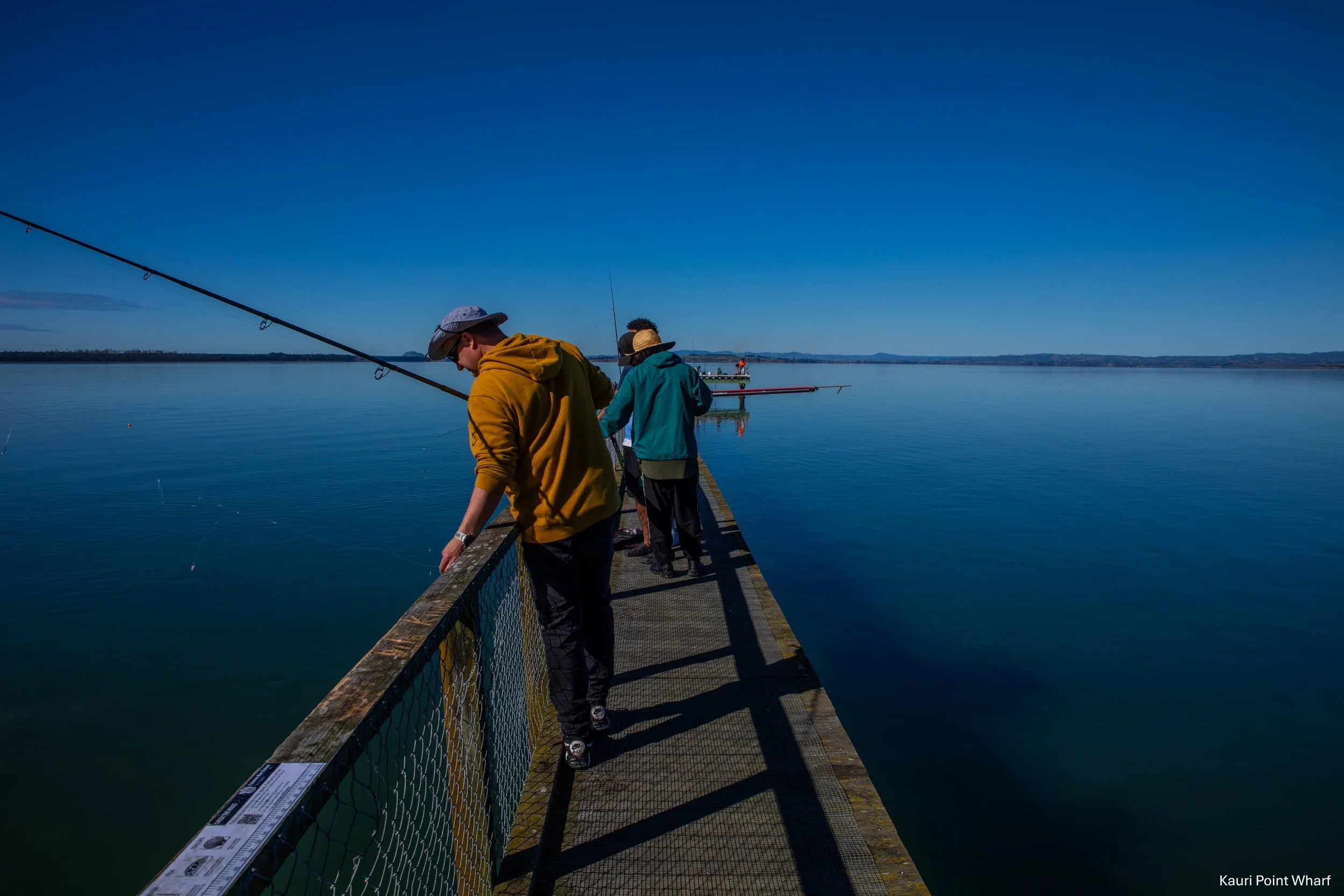 BOP,Kauri Point Wharf,-8392.jpg