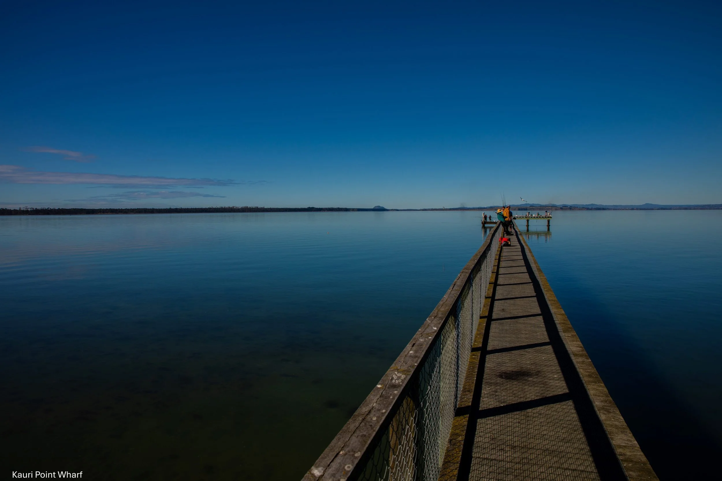 BOP,Kauri Point Wharf,-8393.jpg