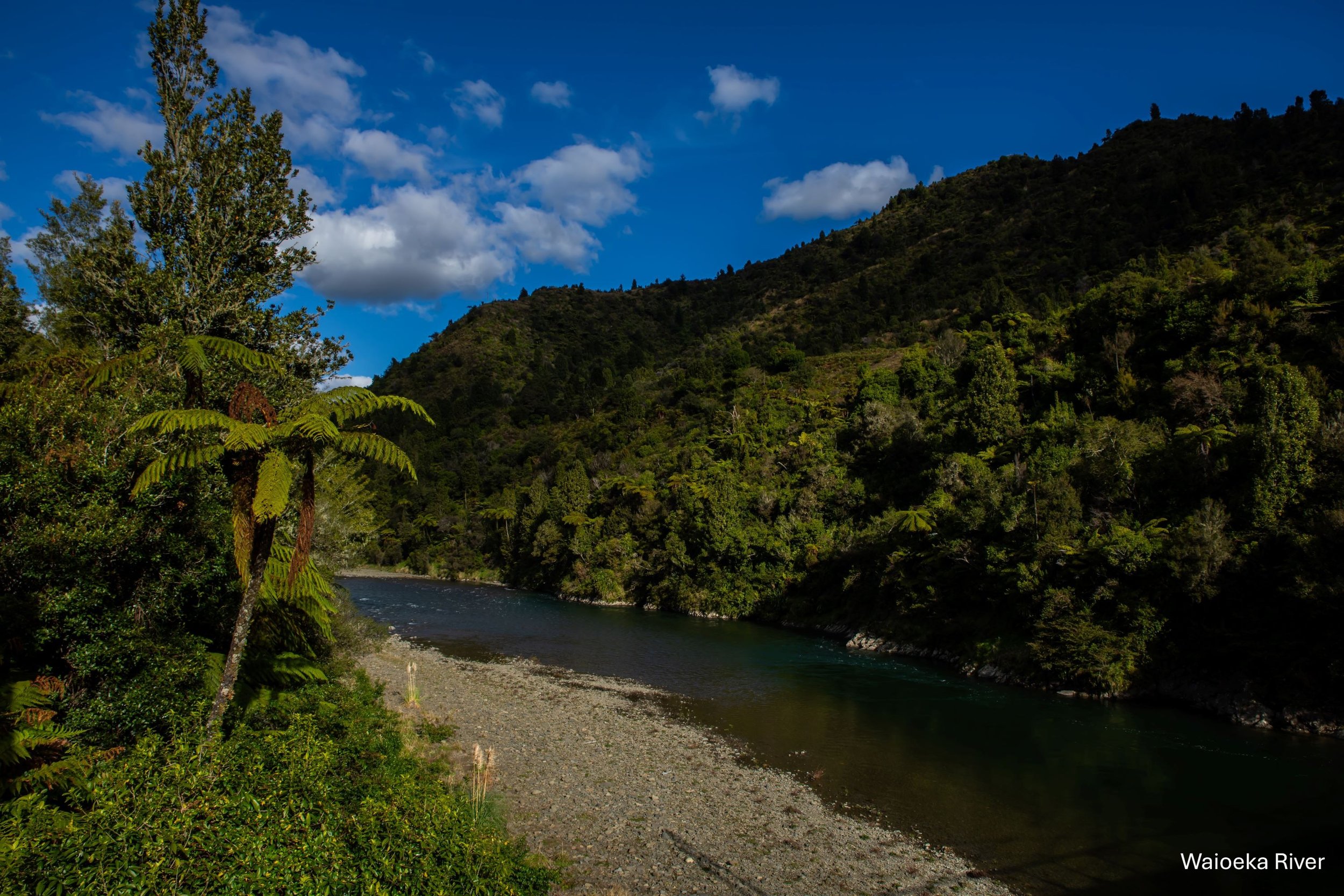 BOP,Tauranga Bridge,Waioeka River,-8877.jpg
