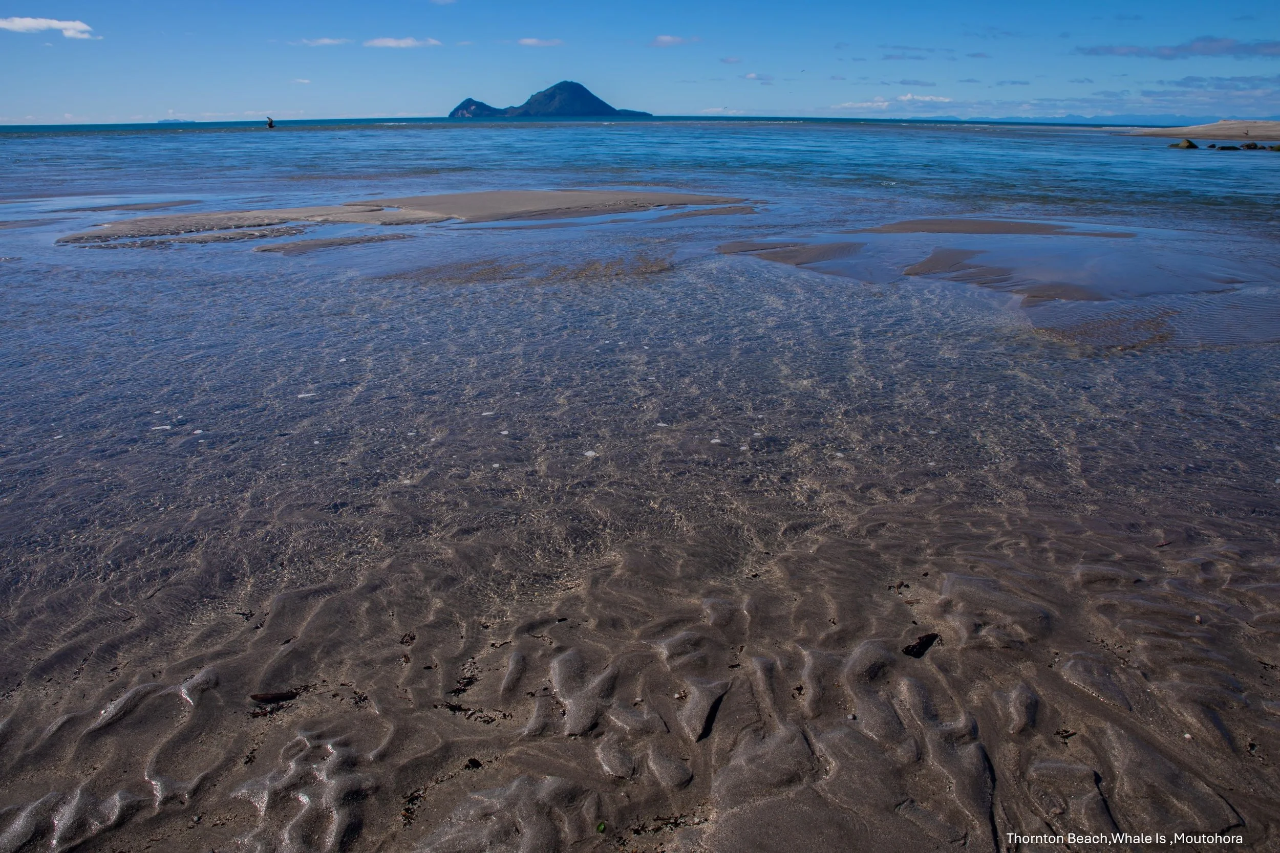 BOP,Thornton's Beach,Moutohora,Whale Island,-8516.jpg