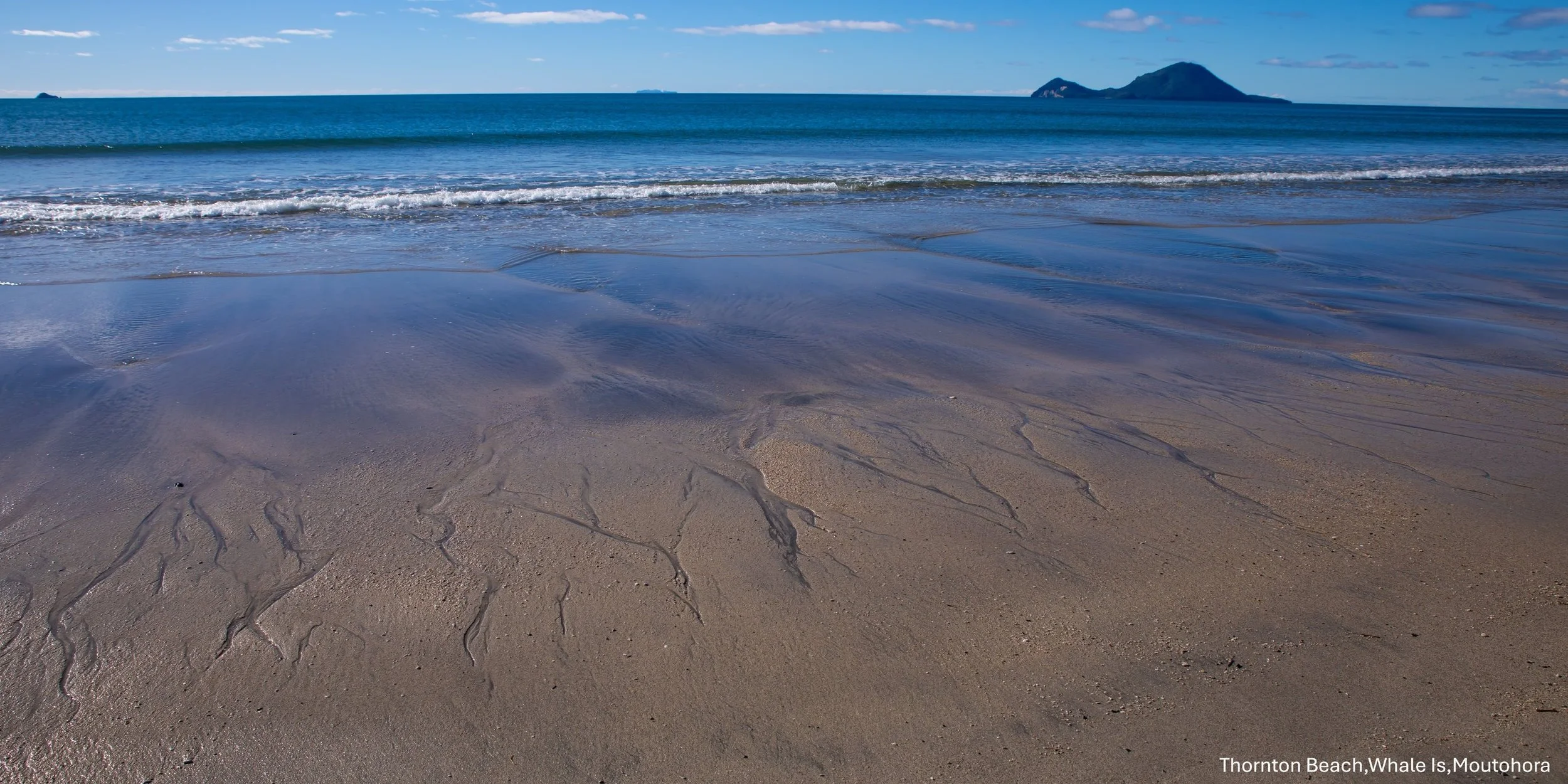BOP,Thornton's Beach,Moutohora,Whale Island,-8518.jpg