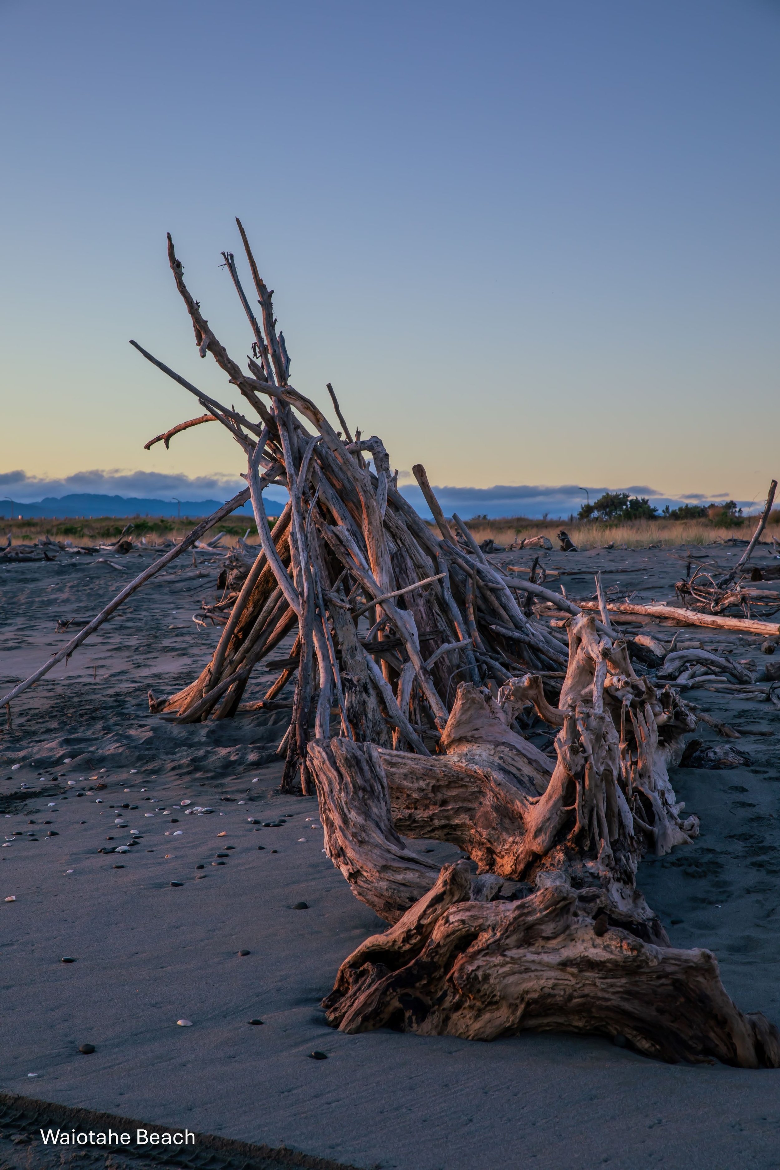 BOP,Waiotahe Beach,-8904.jpg