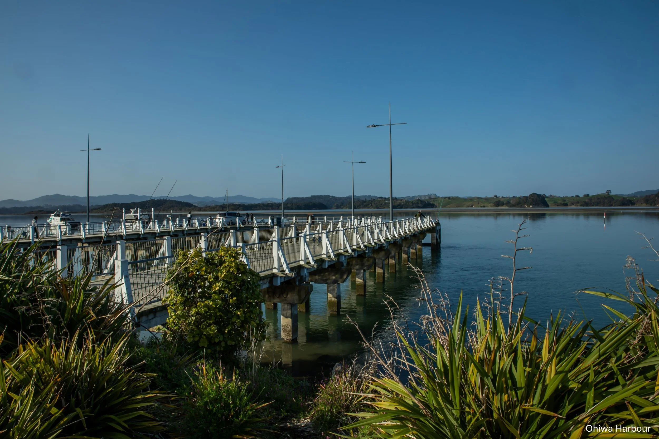 Ohiwa Harbour,-5423.jpg