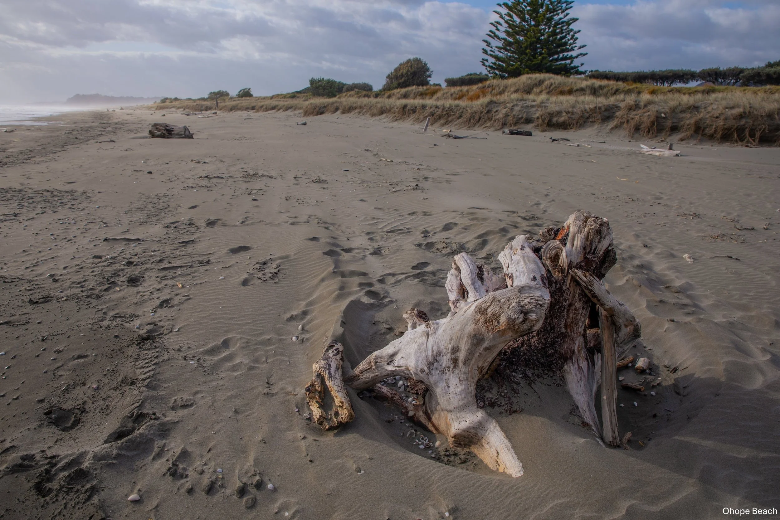 Ohope Beach,-5306.jpg