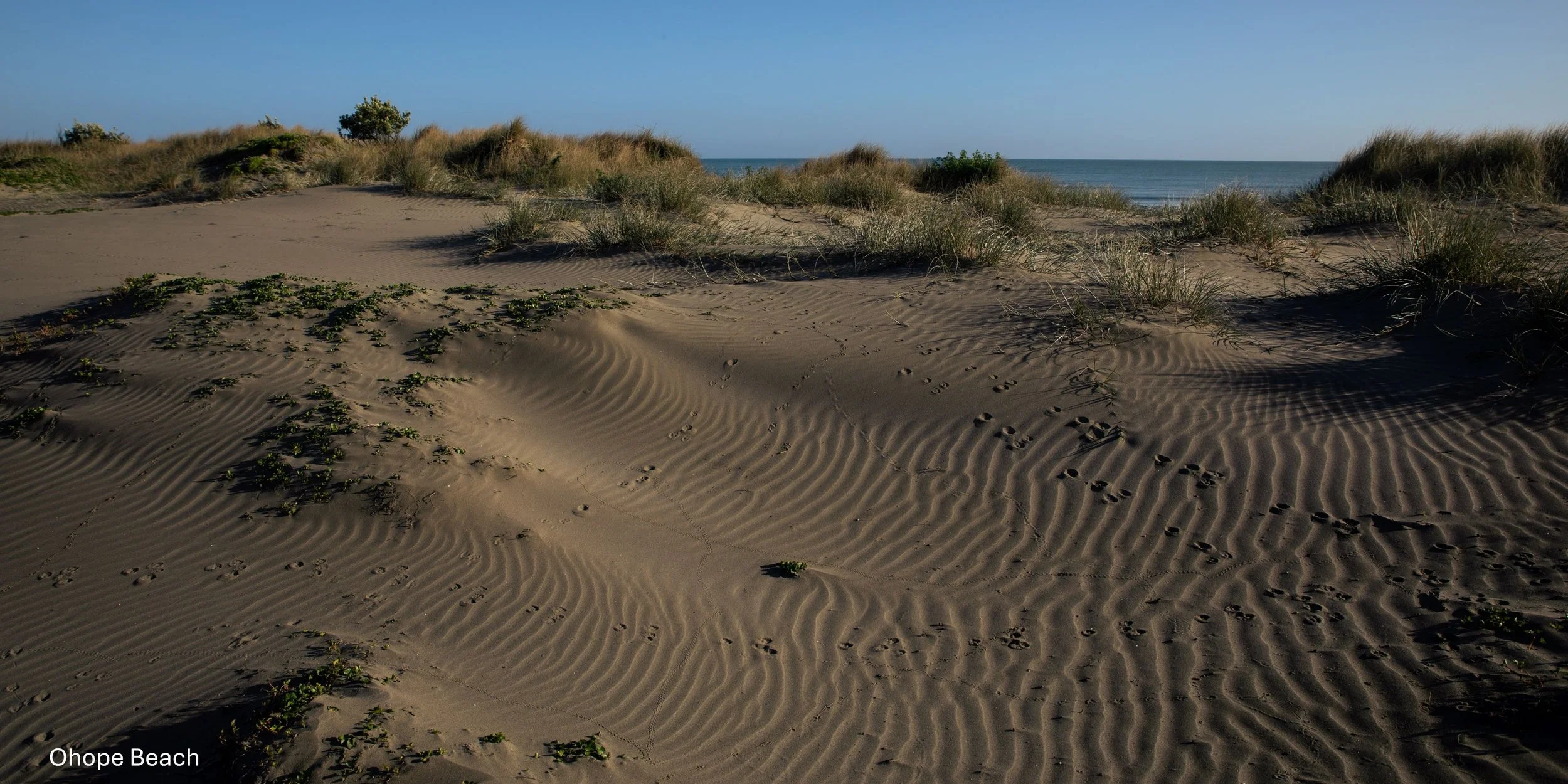 Ohope Beach,-5372.jpg