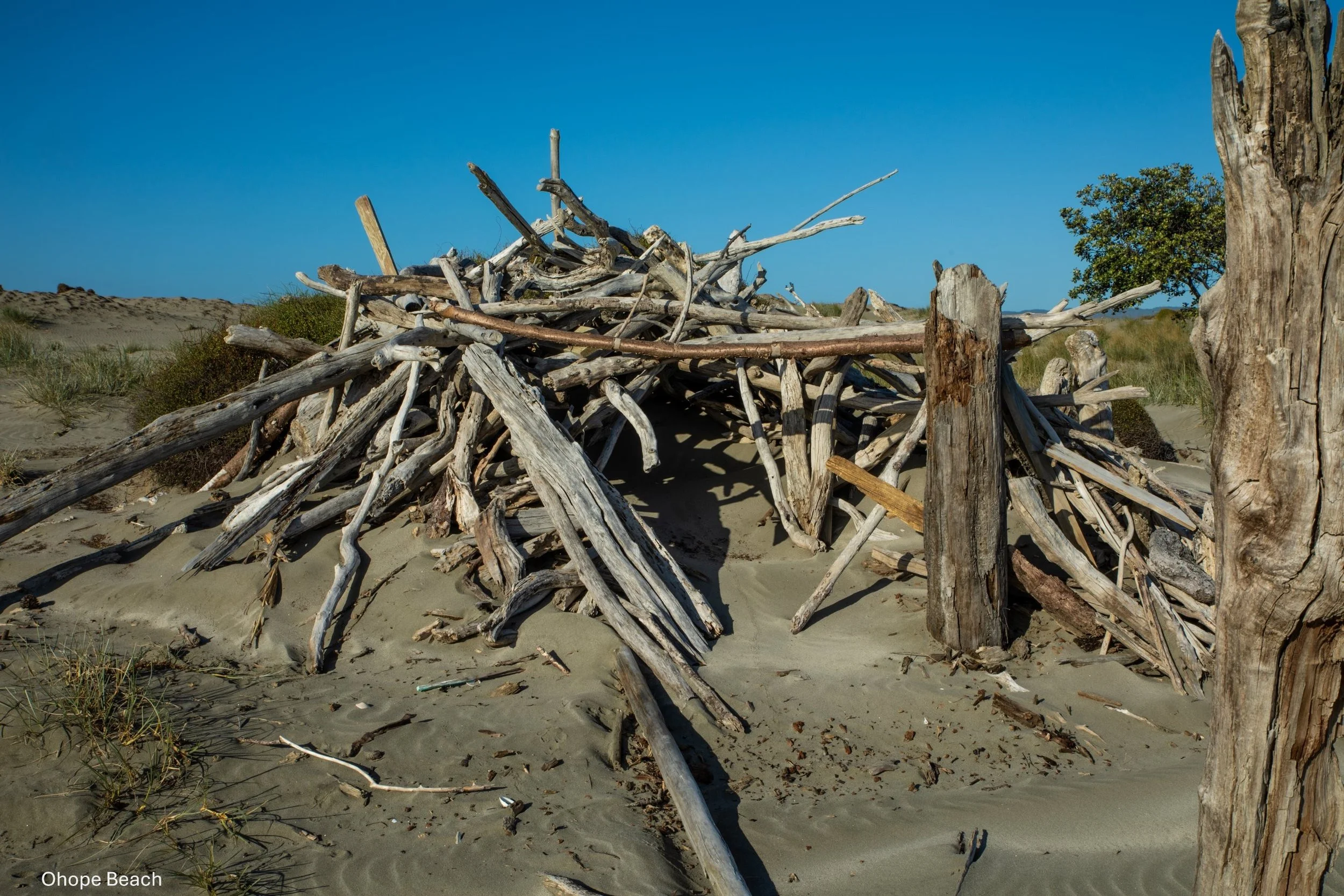 Ohope Beach,-5385.jpg