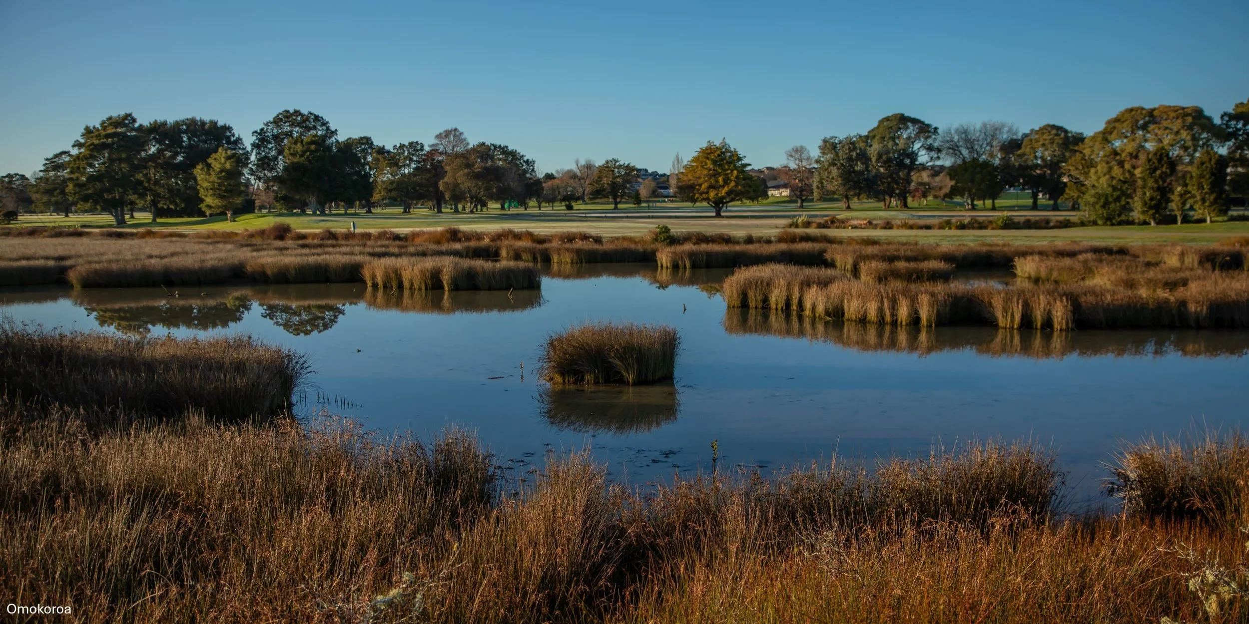 Omokoroa,-4948.jpg