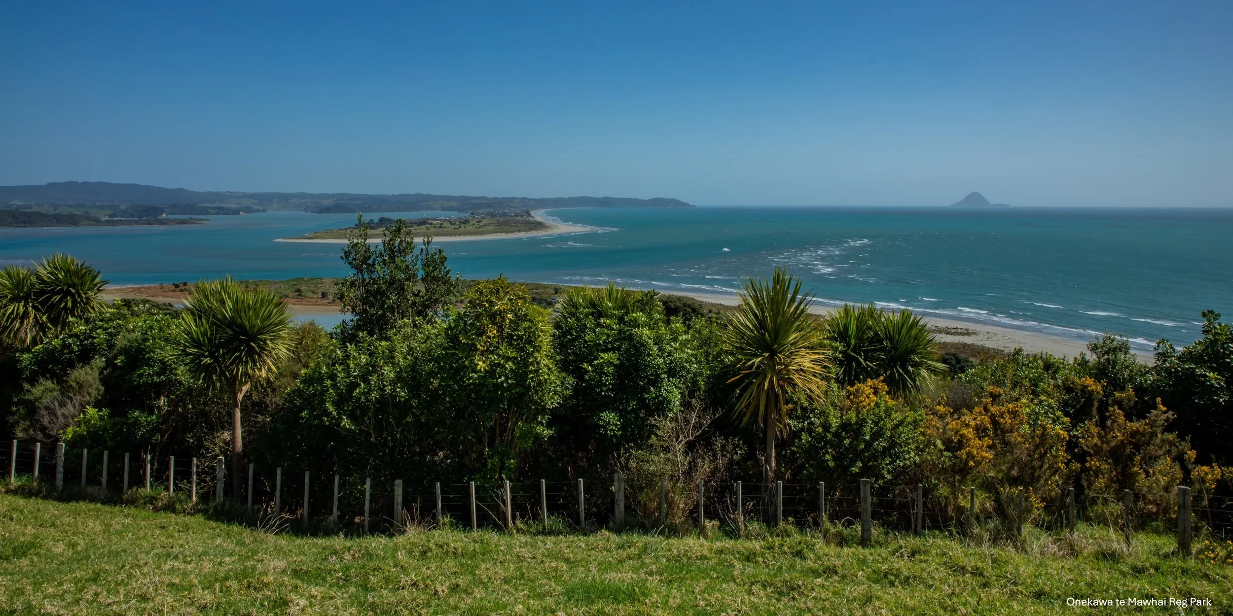 Onekawa te Mawhai Reg Park,-5398.jpg