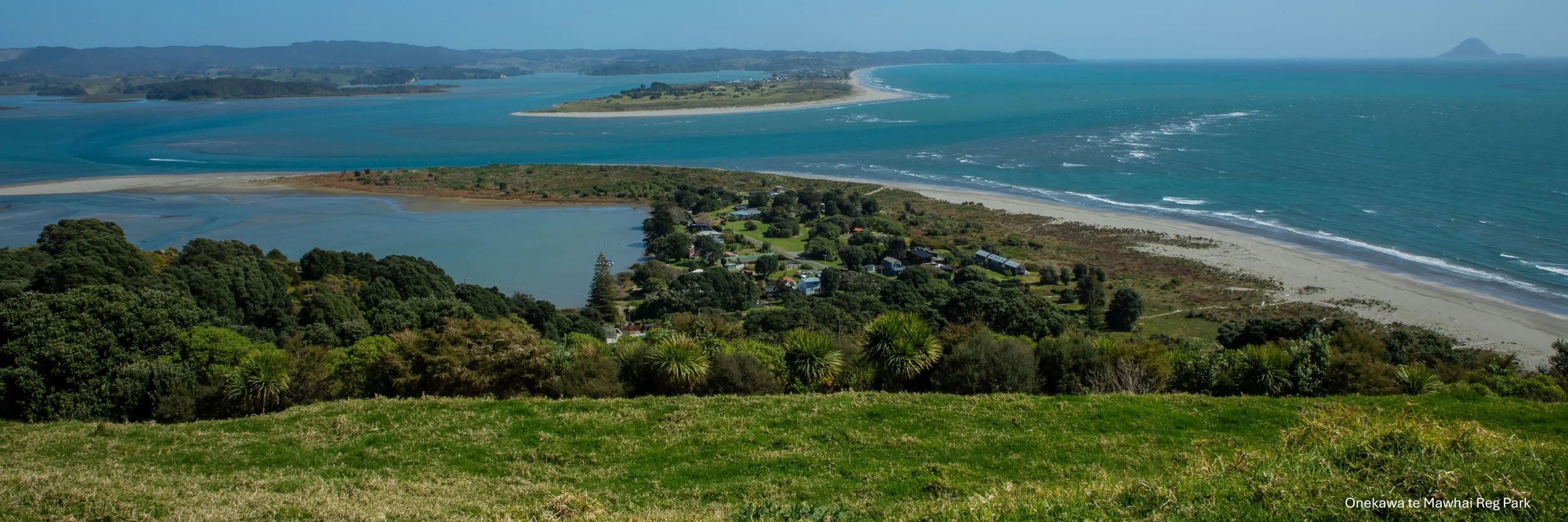 Onekawa te Mawhai Reg Park,-5401.jpg