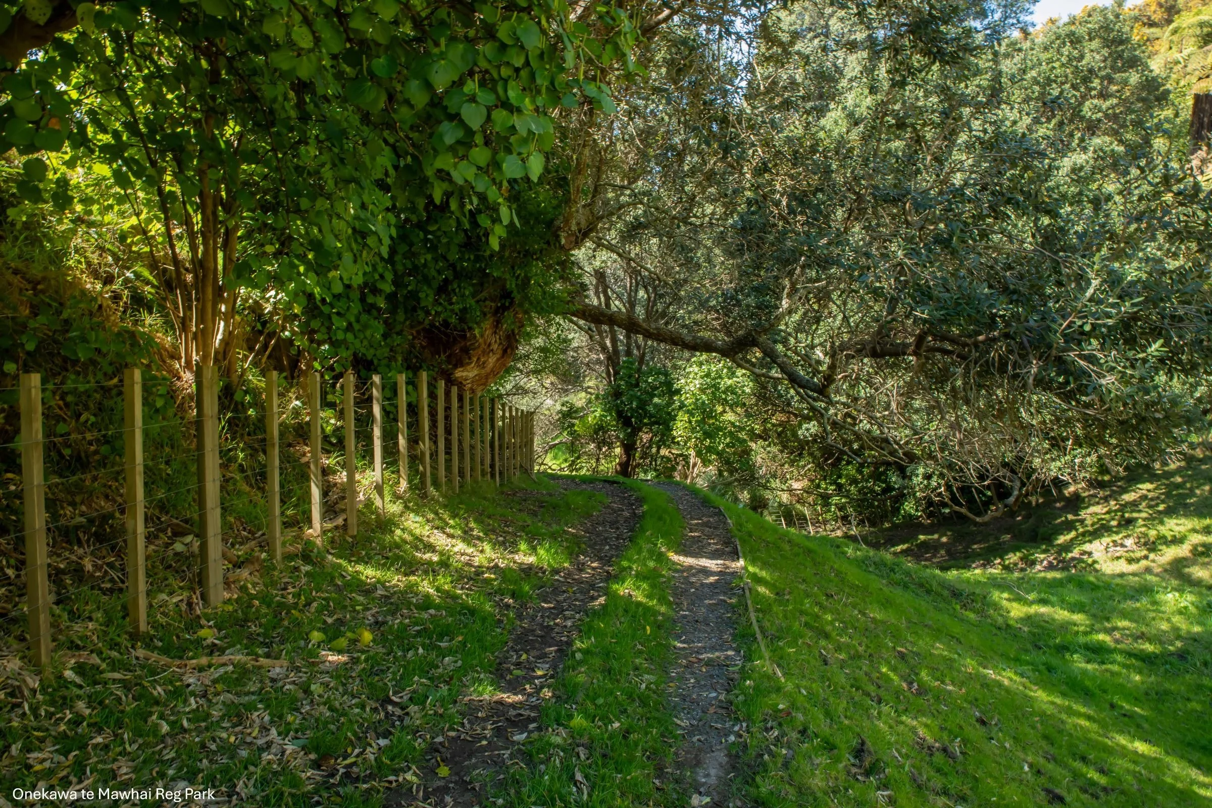 Onekawa te Mawhai Reg Park,-5410.jpg
