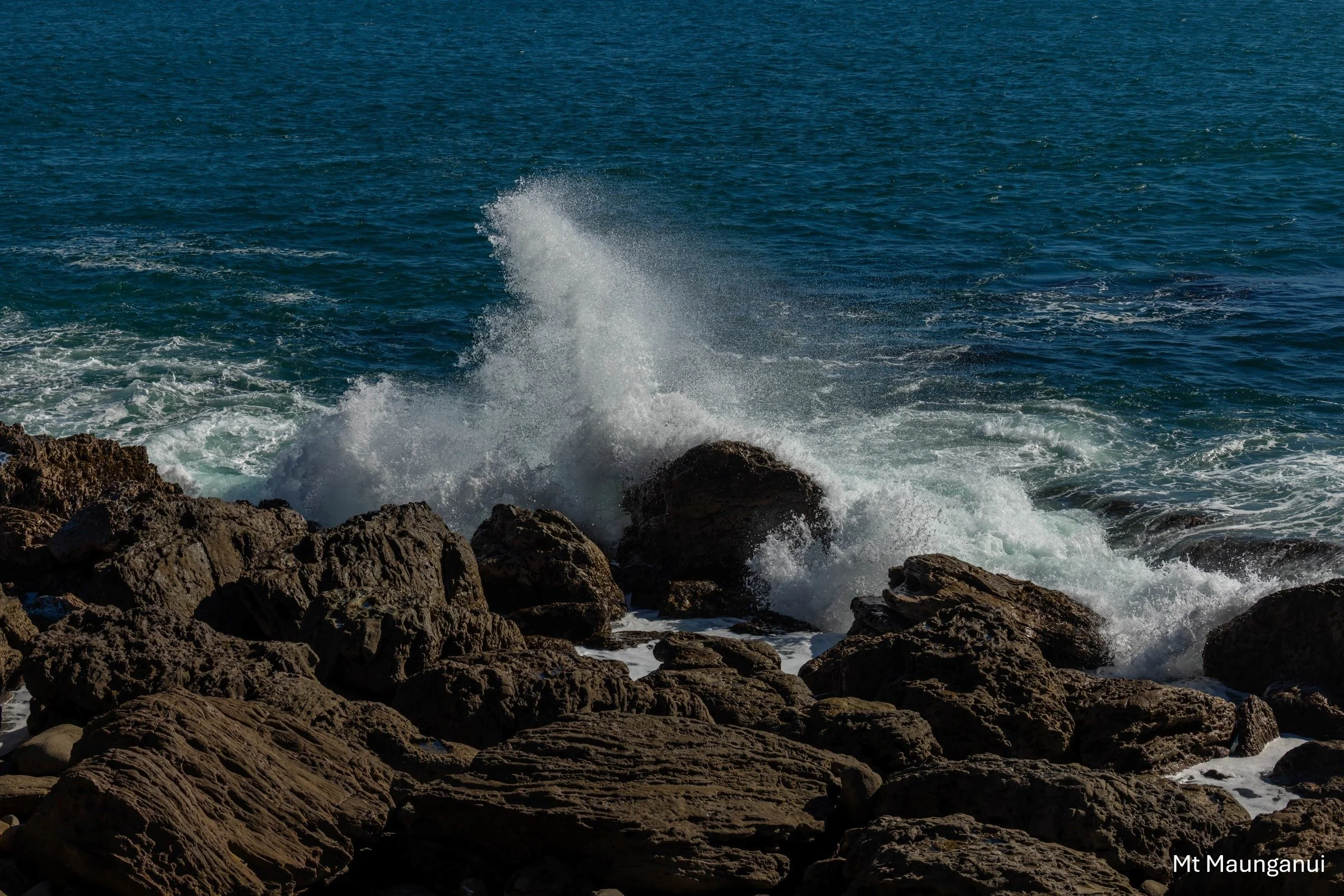 BOP,Mt Maunganui ,-8556.jpg