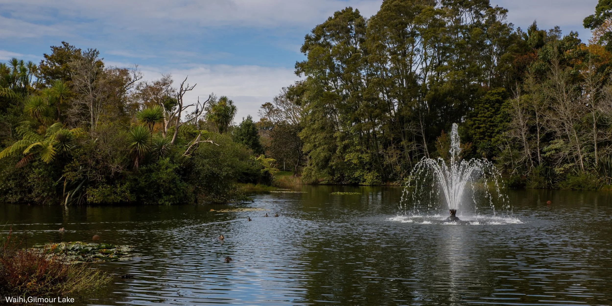 Waihi,Gilmour Lake,-8301.jpg