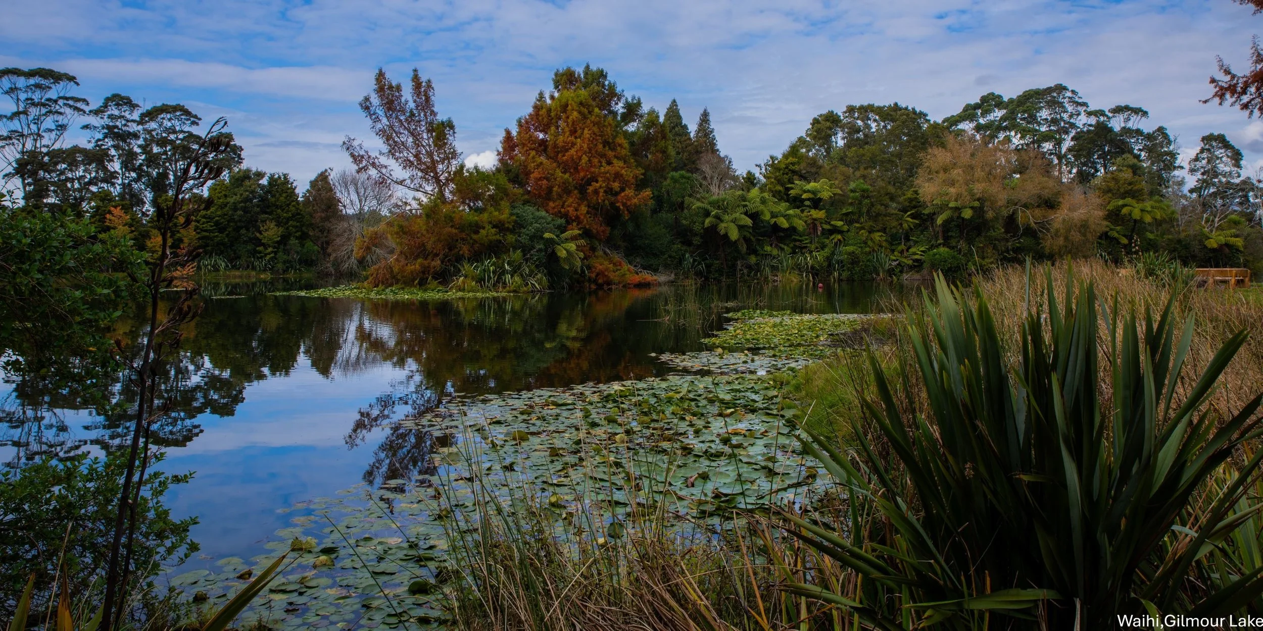 Waihi,Gilmour Lake,-8306.jpg