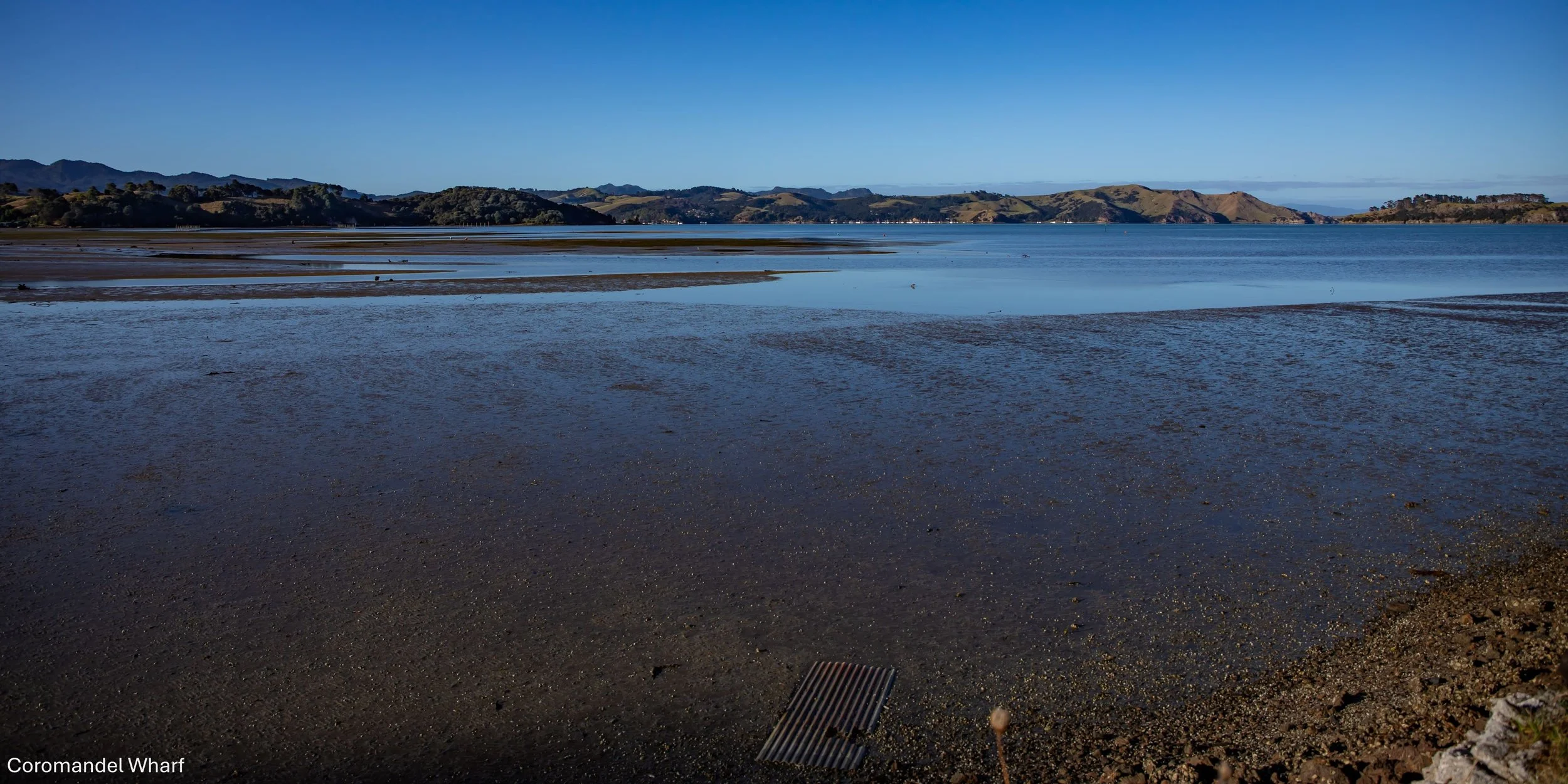 Coromandel Wharf,-6733.jpg