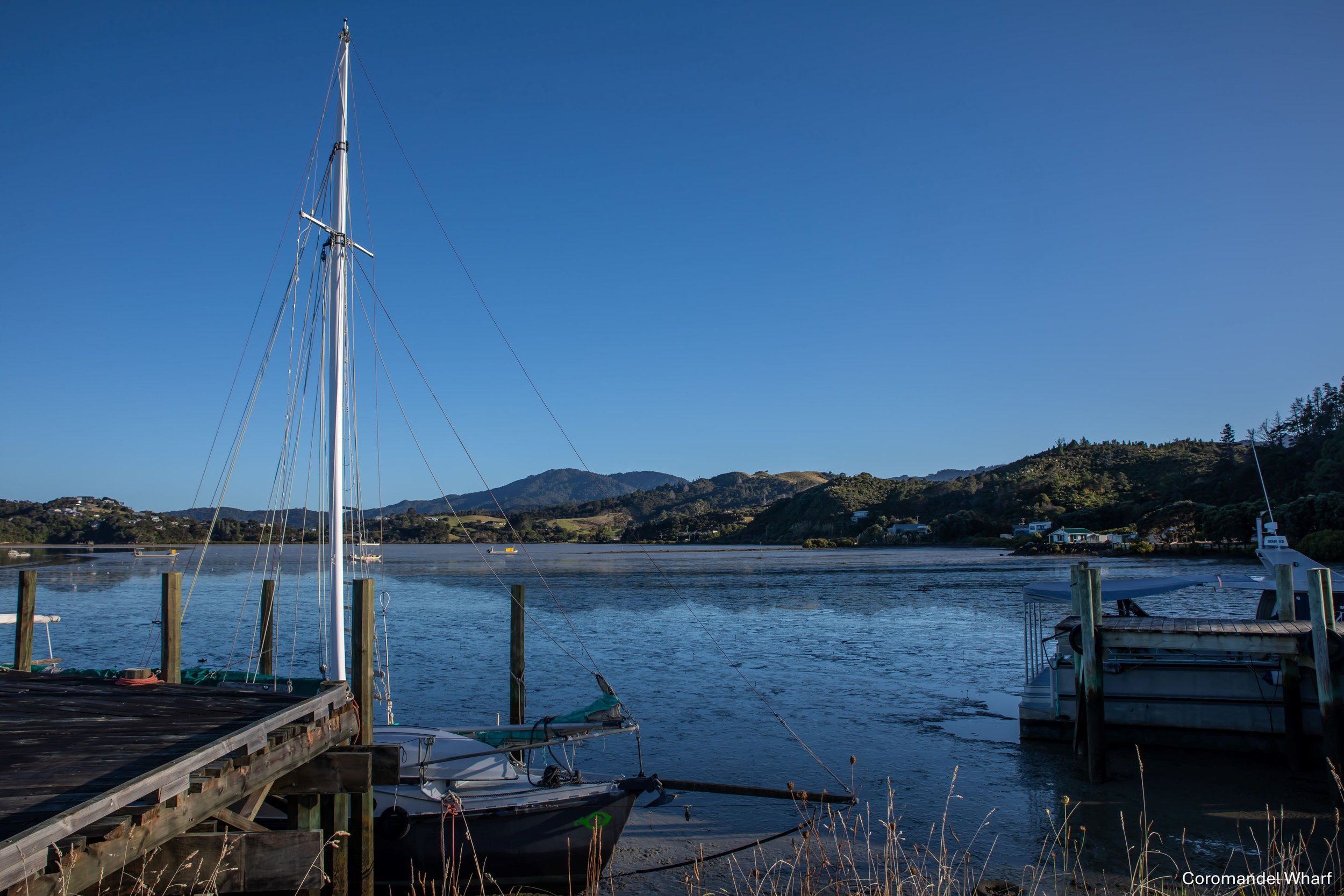 Coromandel Wharf,-6735.jpg
