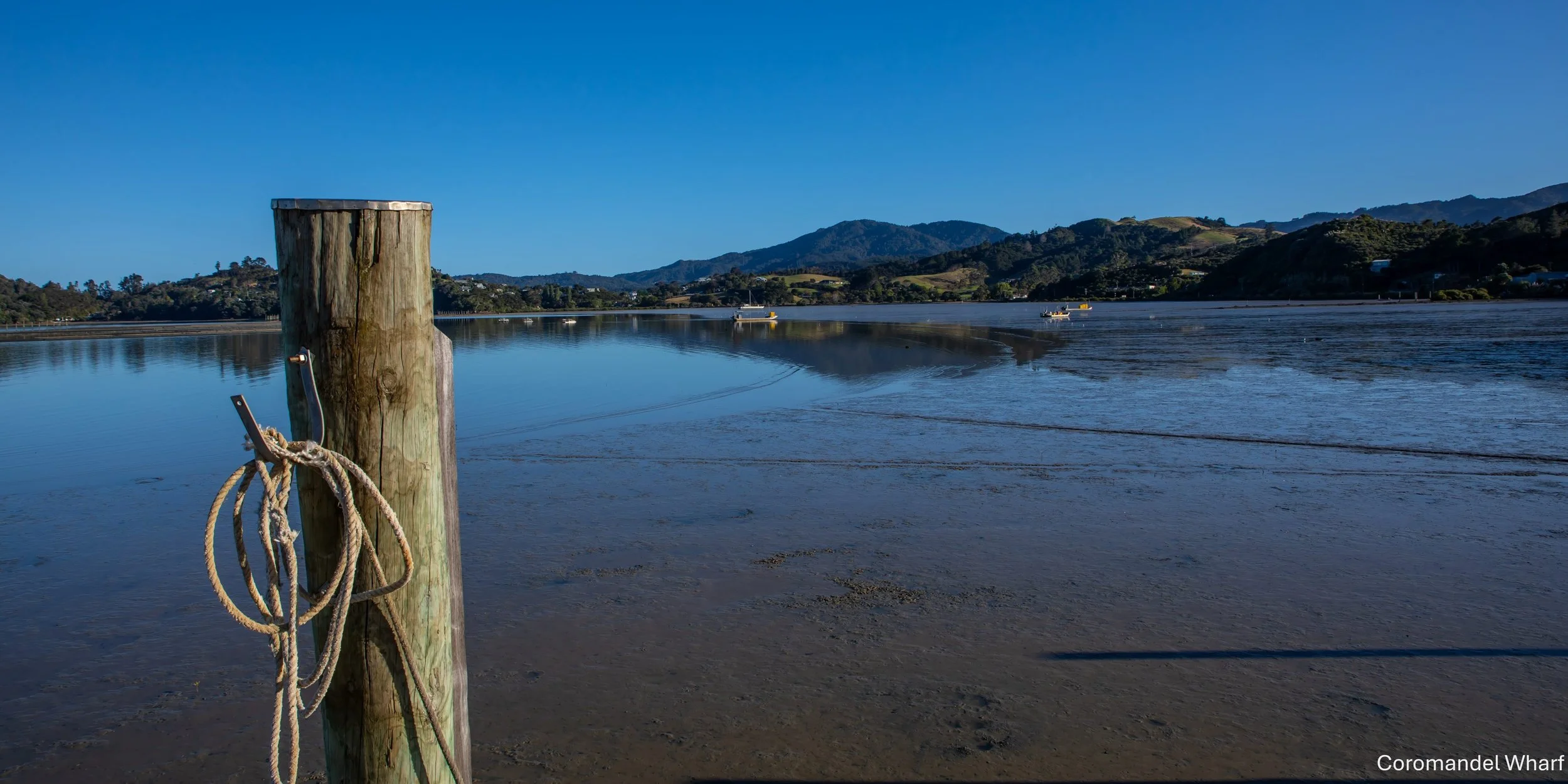 Coromandel Wharf,-6742.jpg