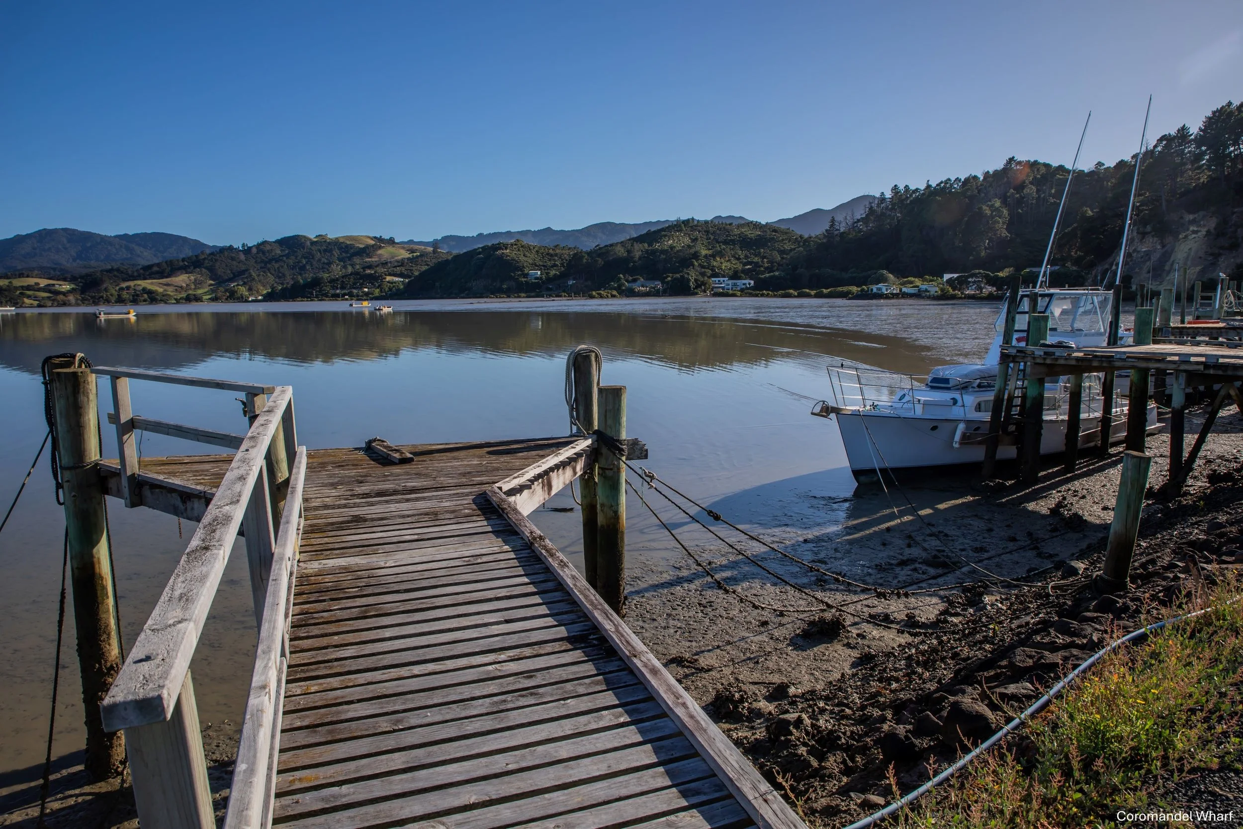 Coromandel Wharf,-6746.jpg