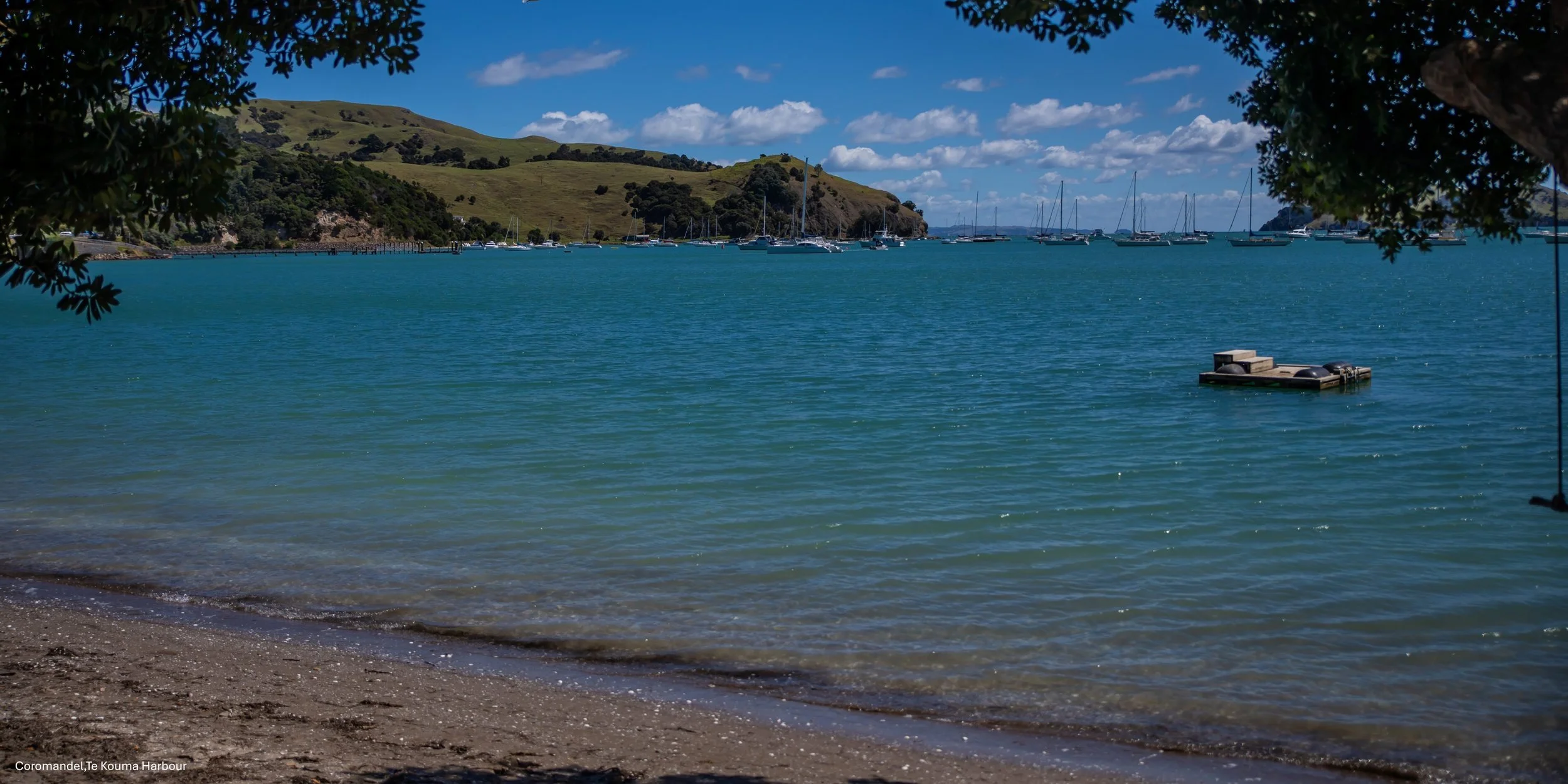 Coromandel,Te Kouma Harbour,-6698.jpg