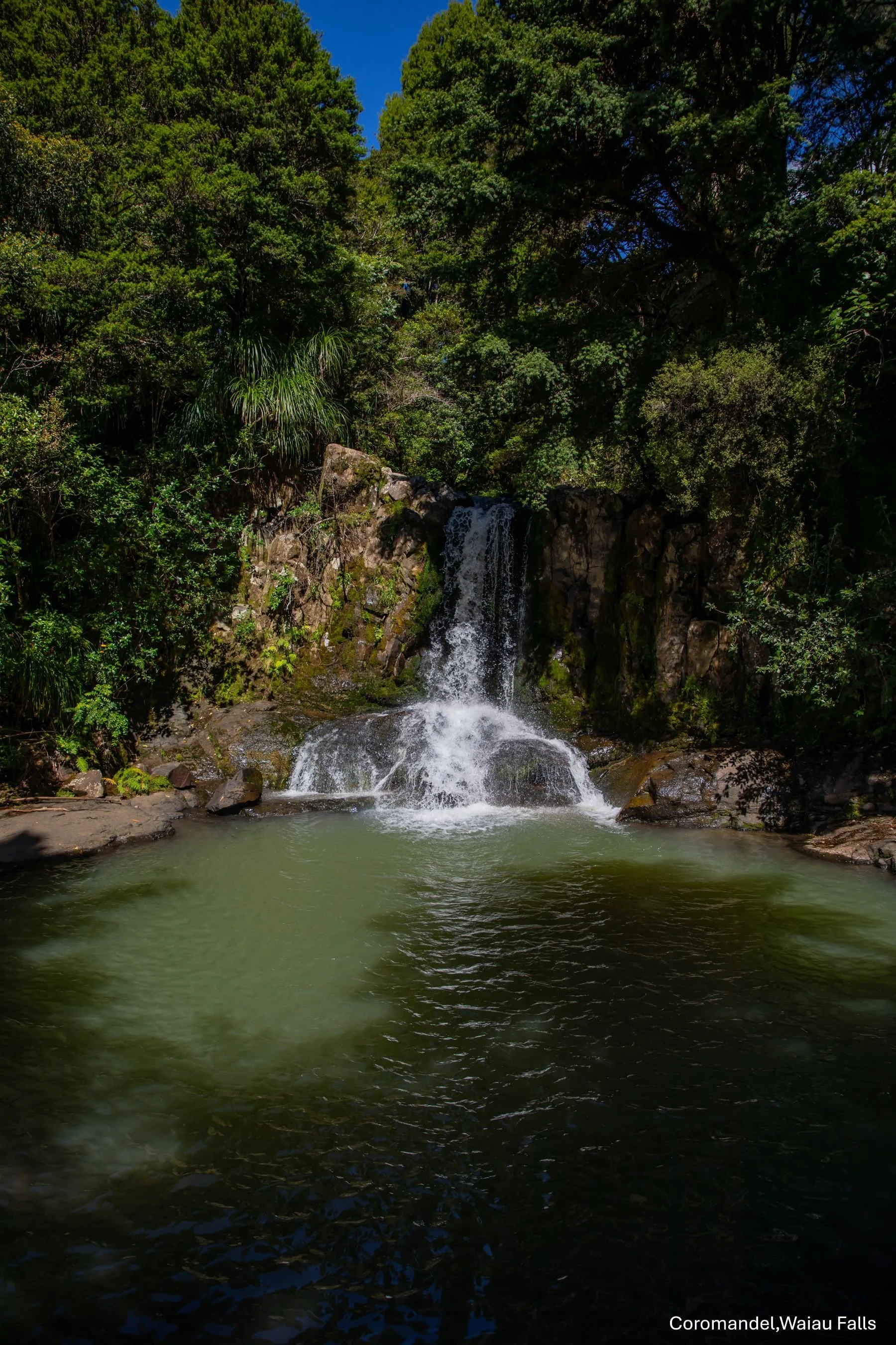 Coromandel,Waiau Falls,-6723.jpg