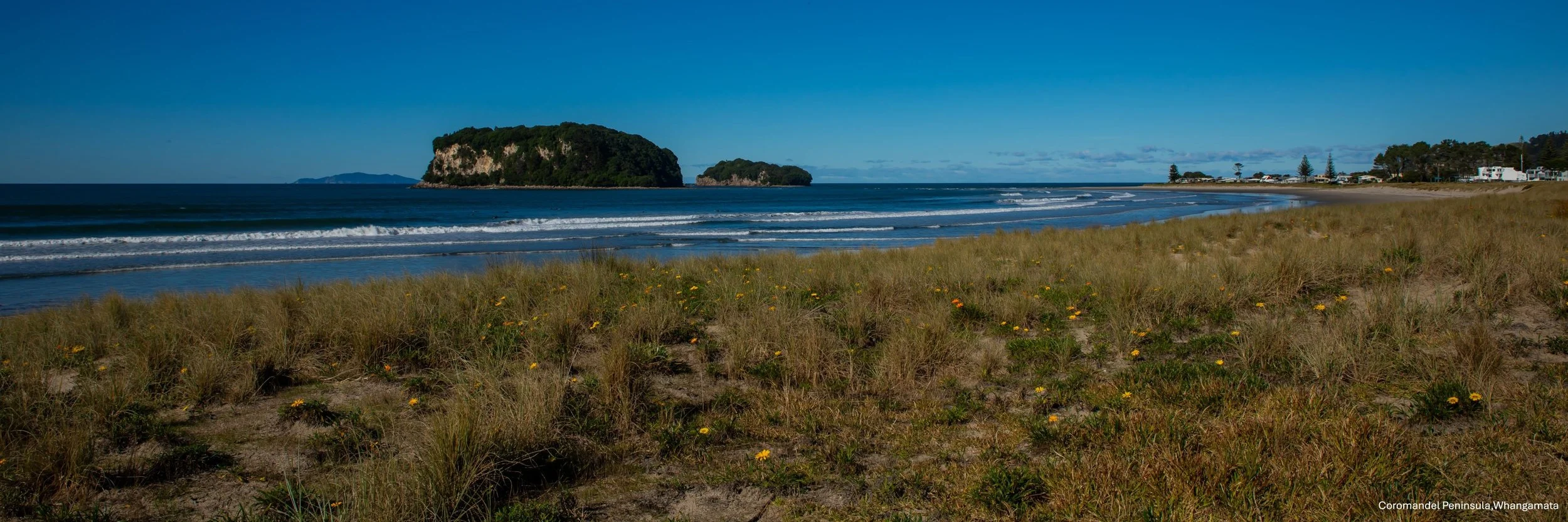 Coromandel Peninsula,Whangamata,-8936.jpg