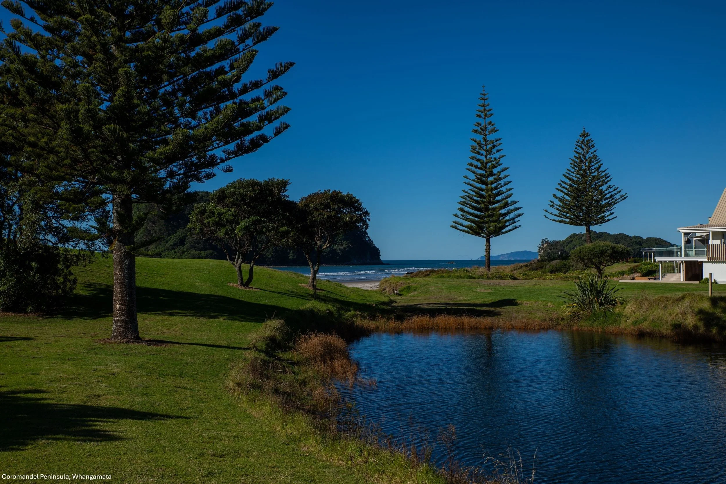Coromandel Peninsula,Whangamata,-8963.jpg