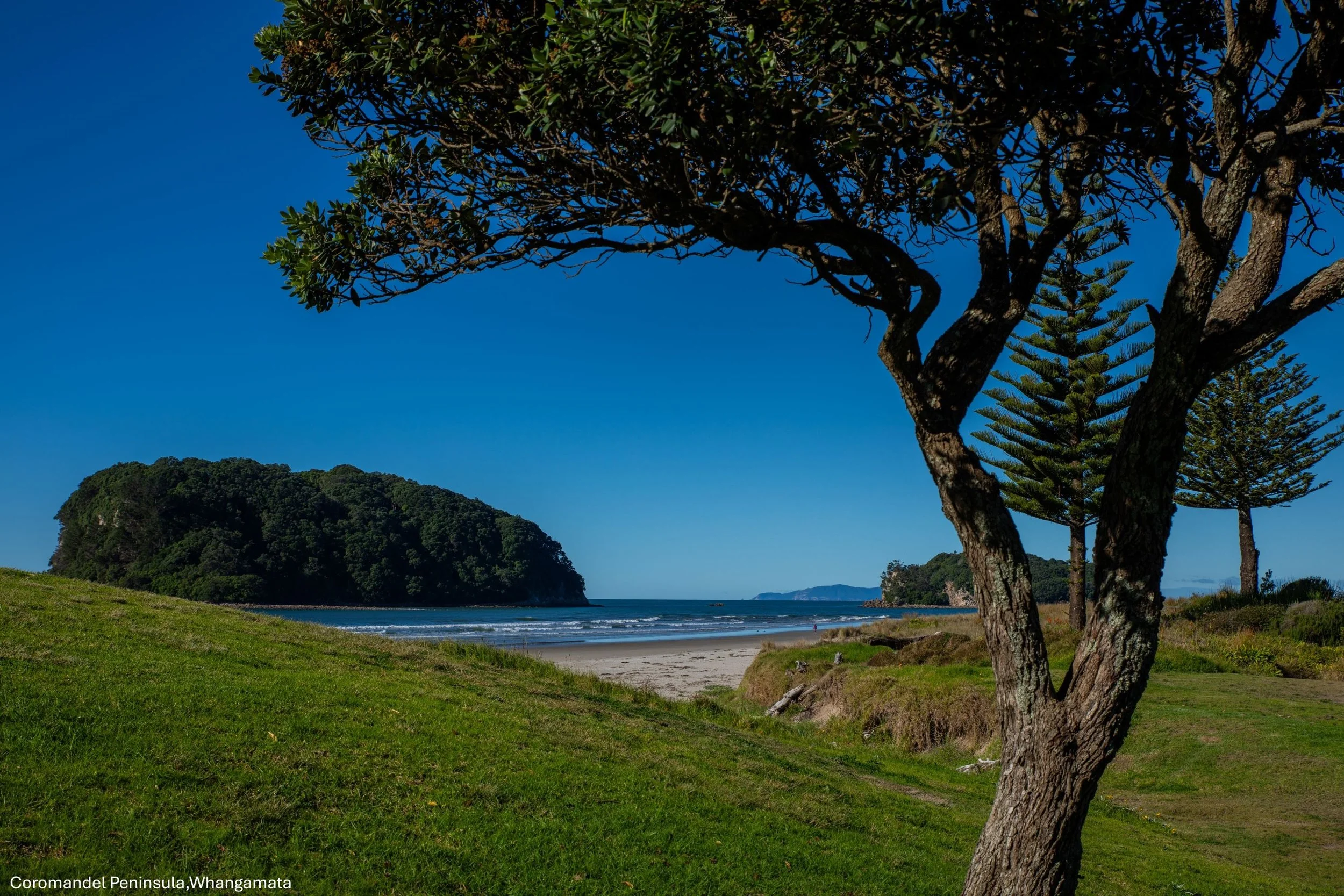 Coromandel Peninsula,Whangamata,-8967.jpg