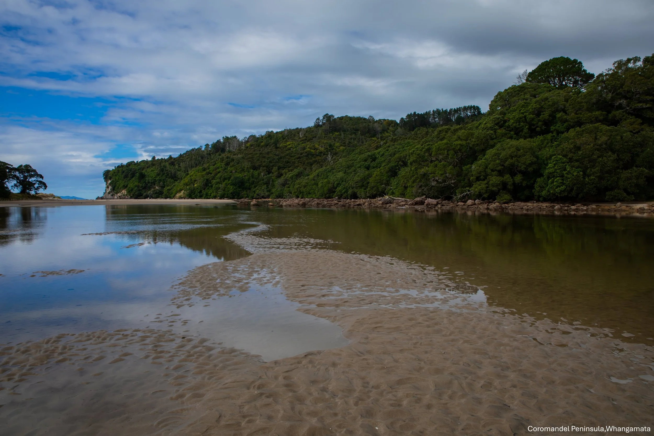Coromandel Peninsula,Whangamata,-9042.jpg