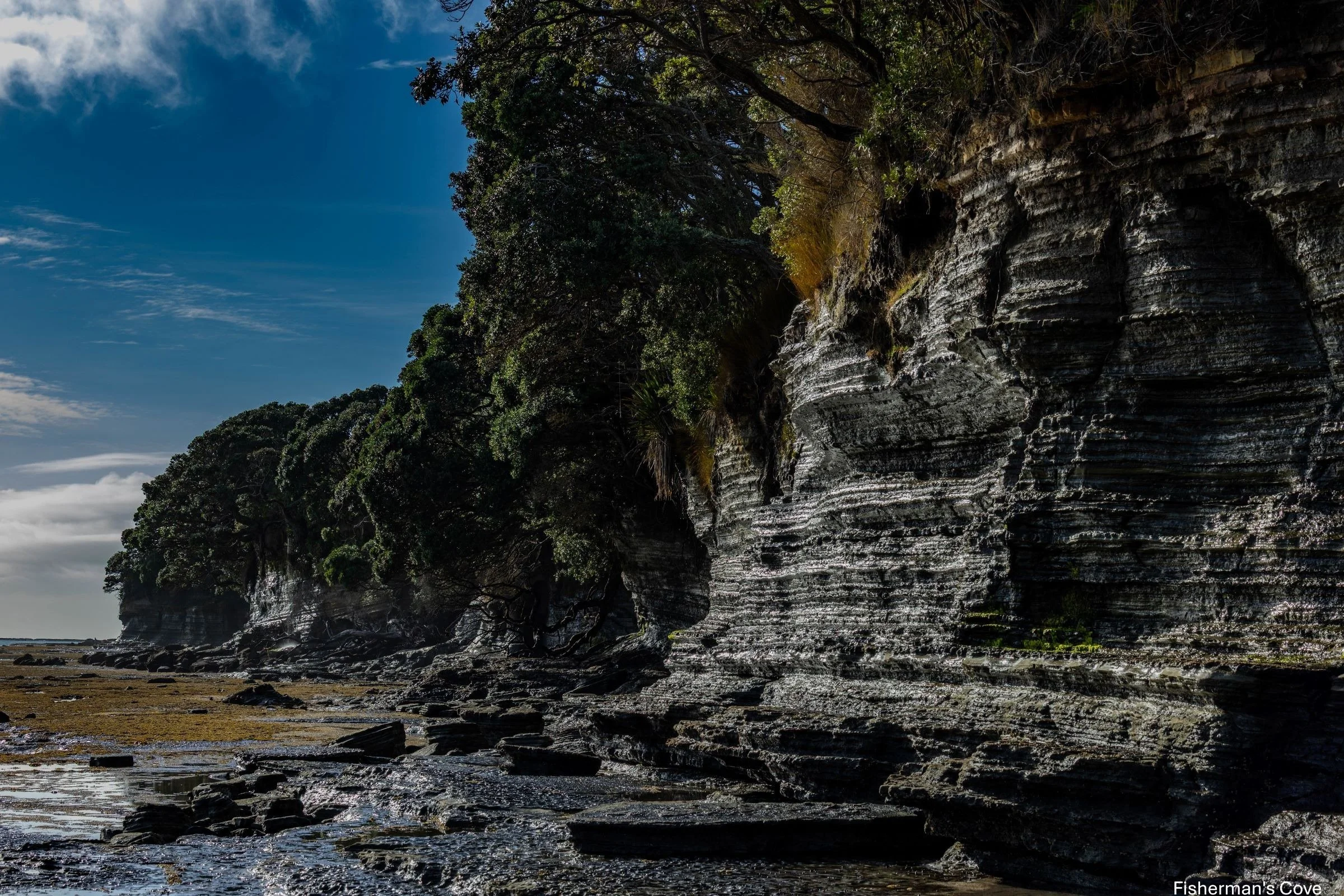 Fisherman's Cove,-0320.jpg