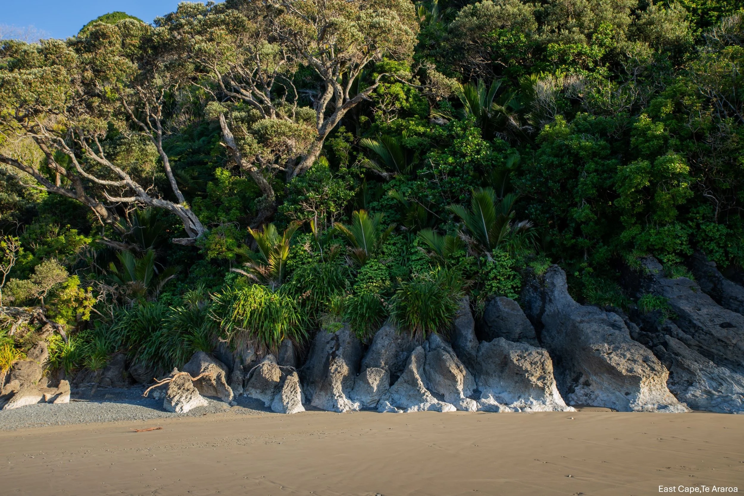 East Cape, Te Araroa,-8682.jpg