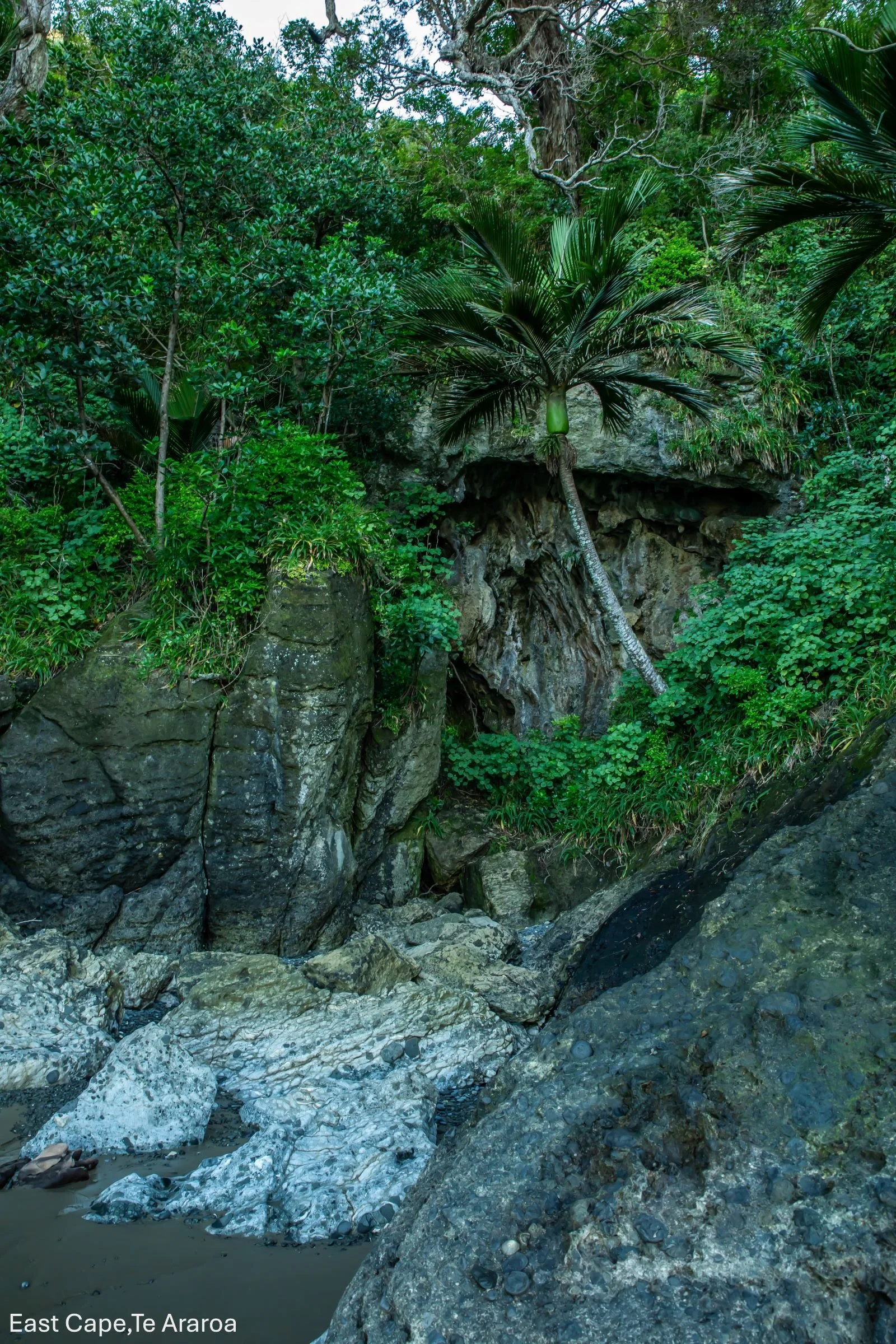 East Cape, Te Araroa,-8698.jpg