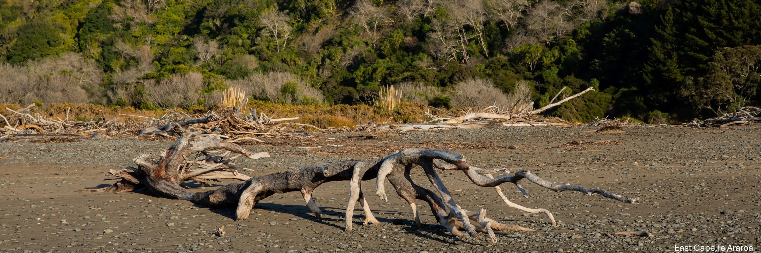 East Cape, Te Araroa,-8708.jpg