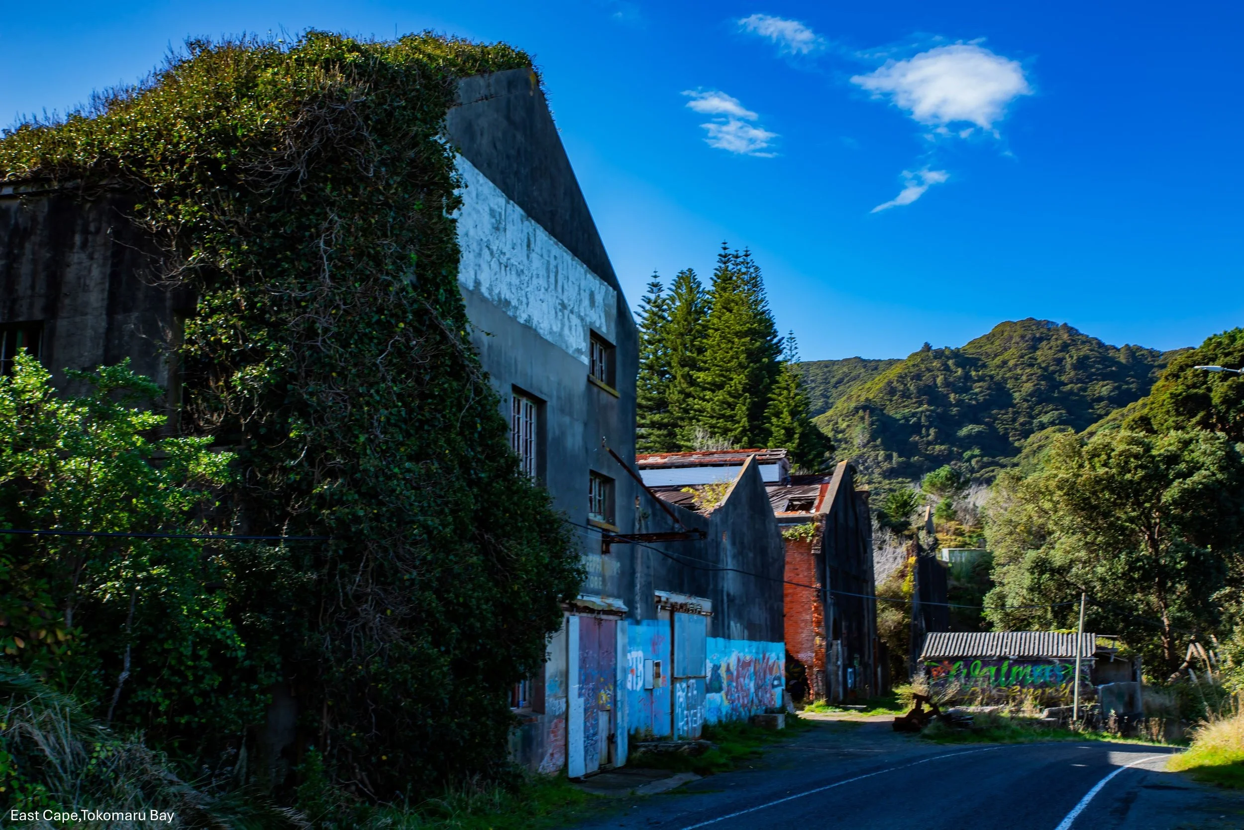 East Cape,Tokomaru Bay,-8775.jpg