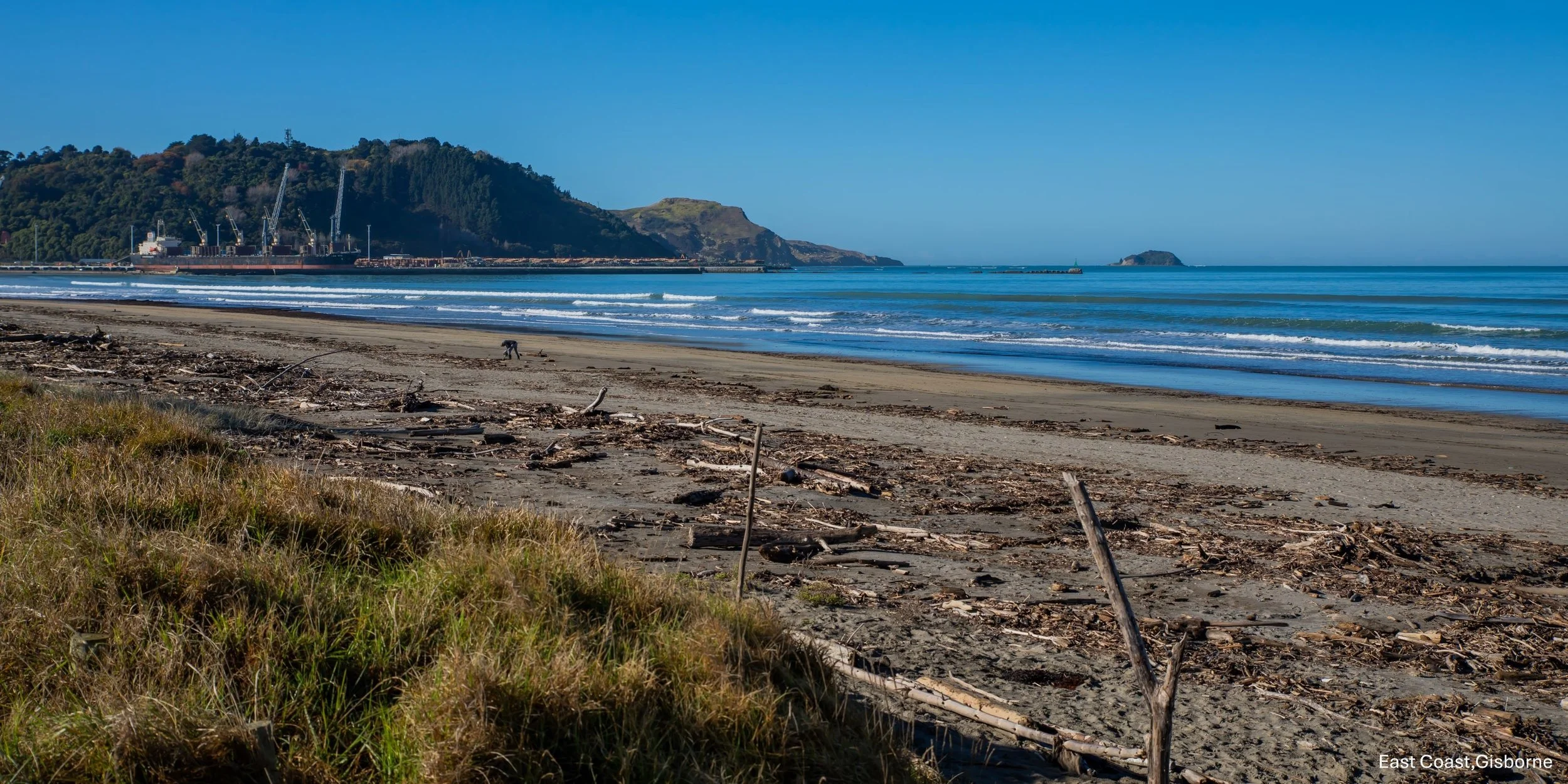 East Coast,Gisborne,-8817.jpg