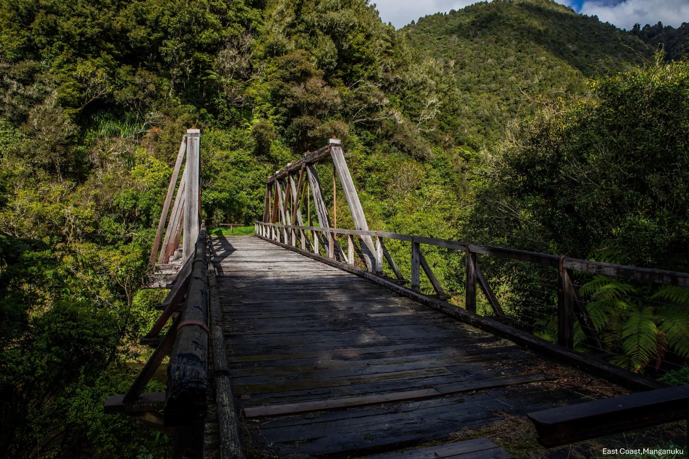 East Coast,Manganuku,-8855.jpg